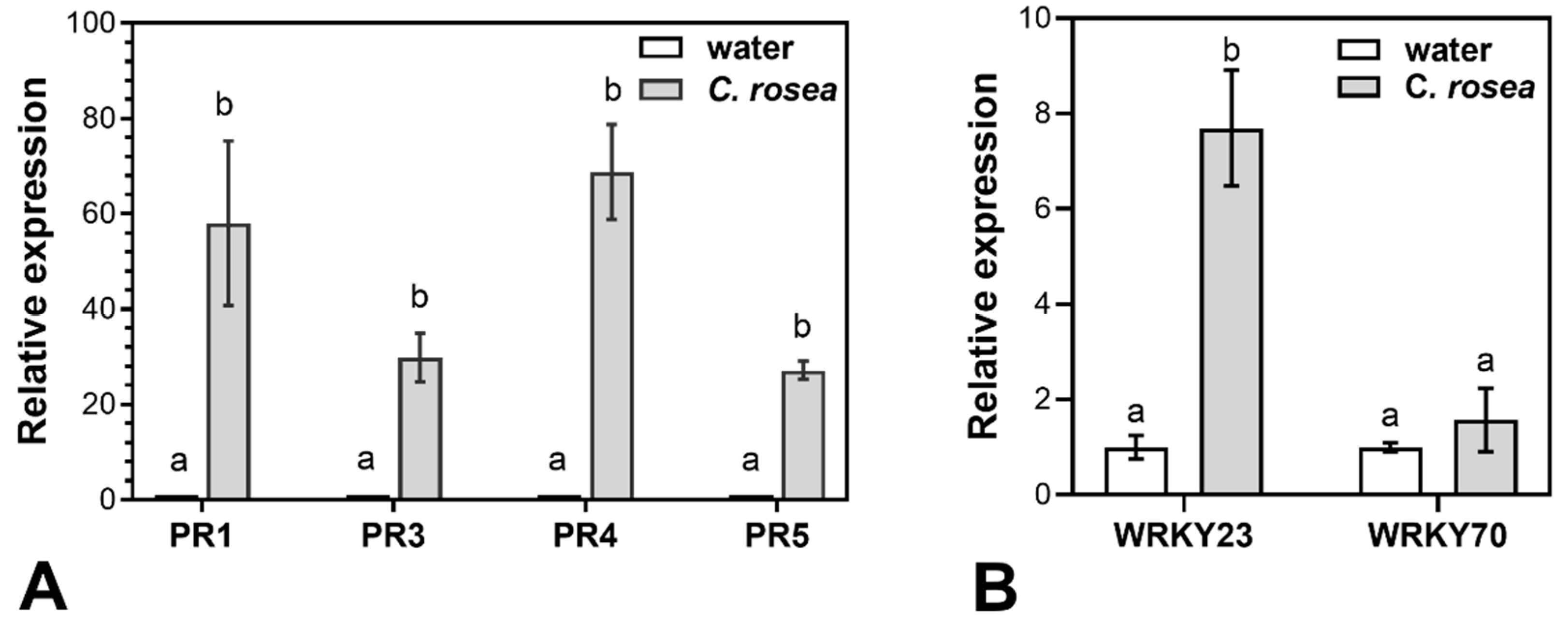 Plants 12 00500 g004 Plants 12 00500 g004