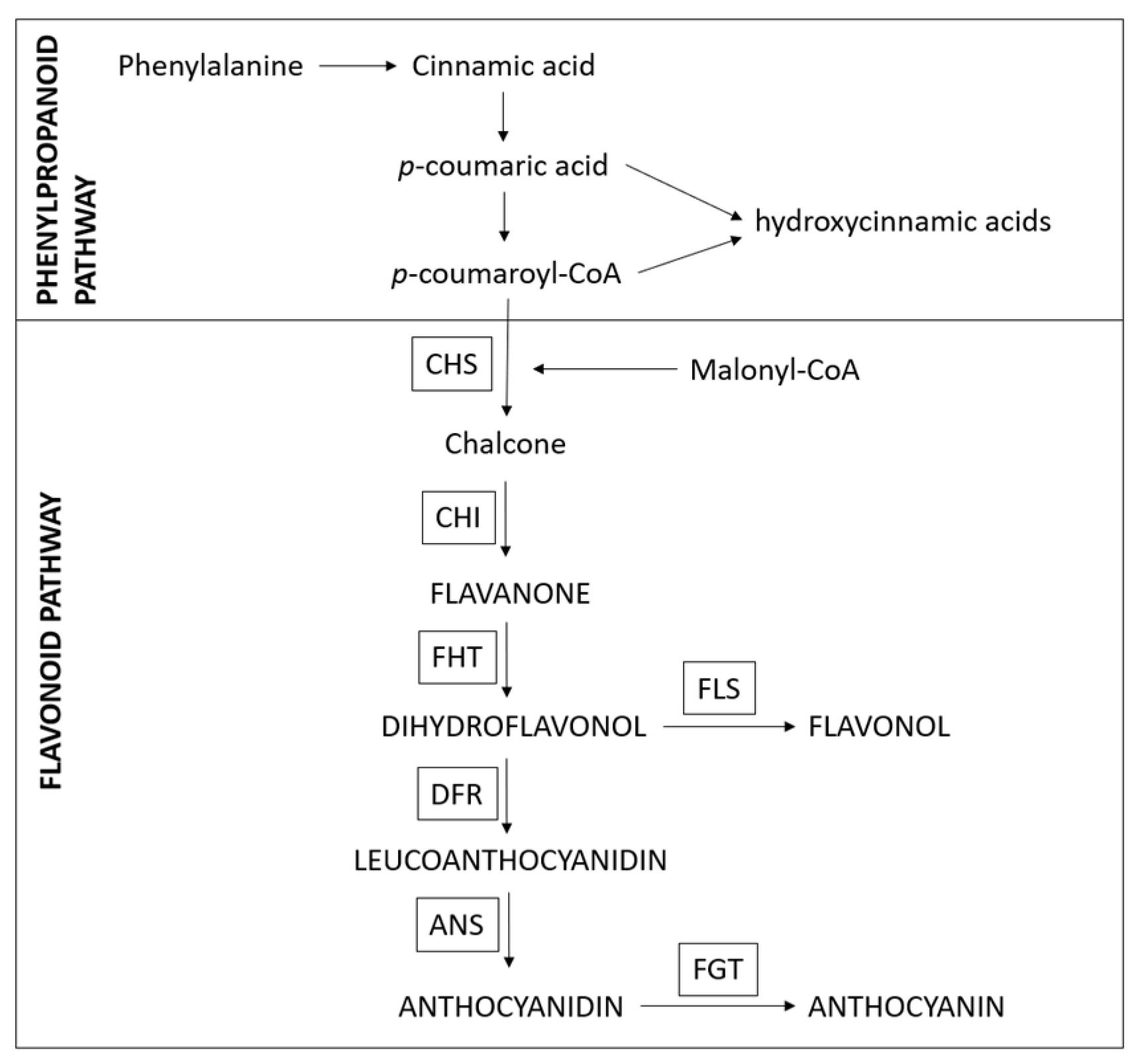 Plants 12 00504 g001