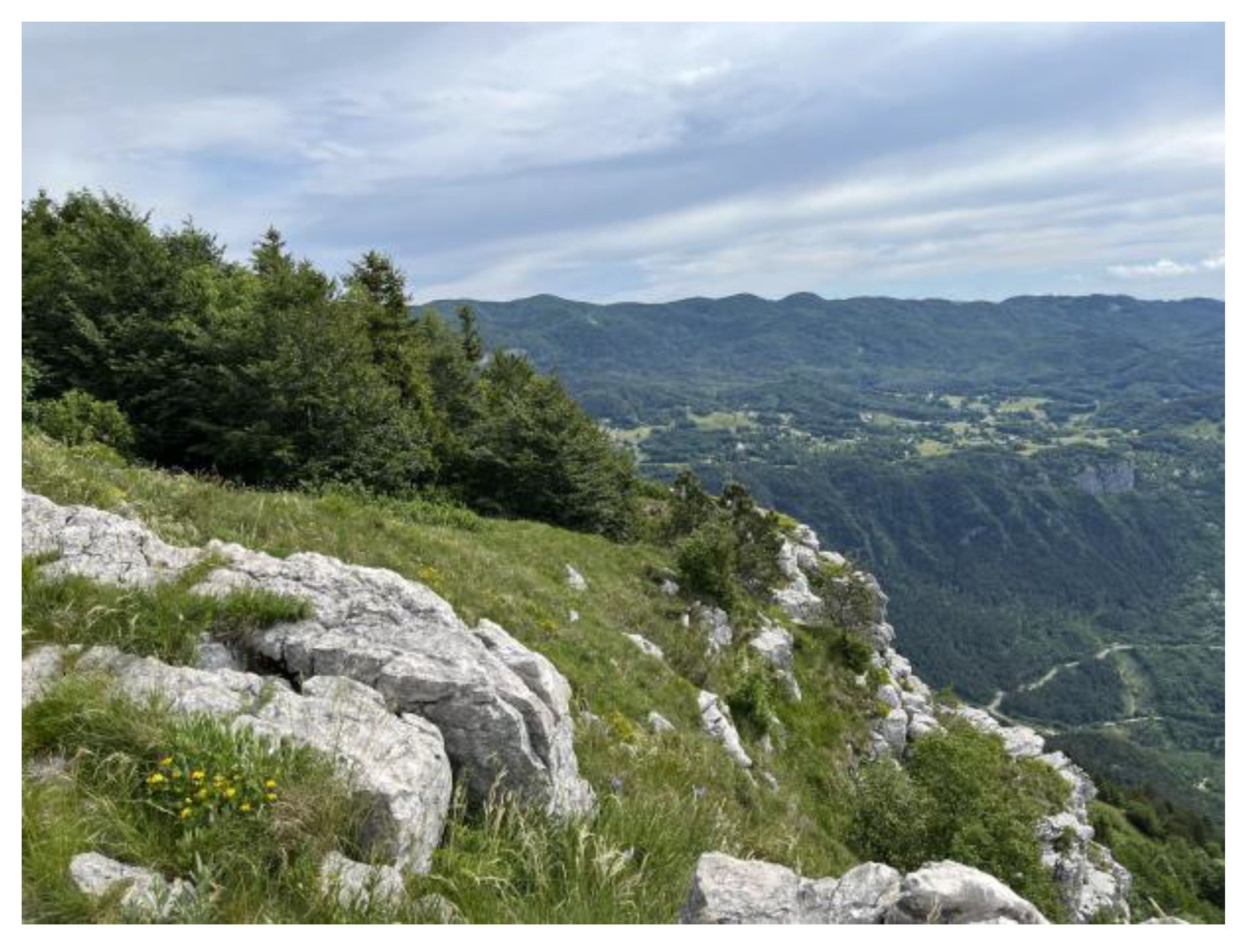 Plants 12 00505 g007