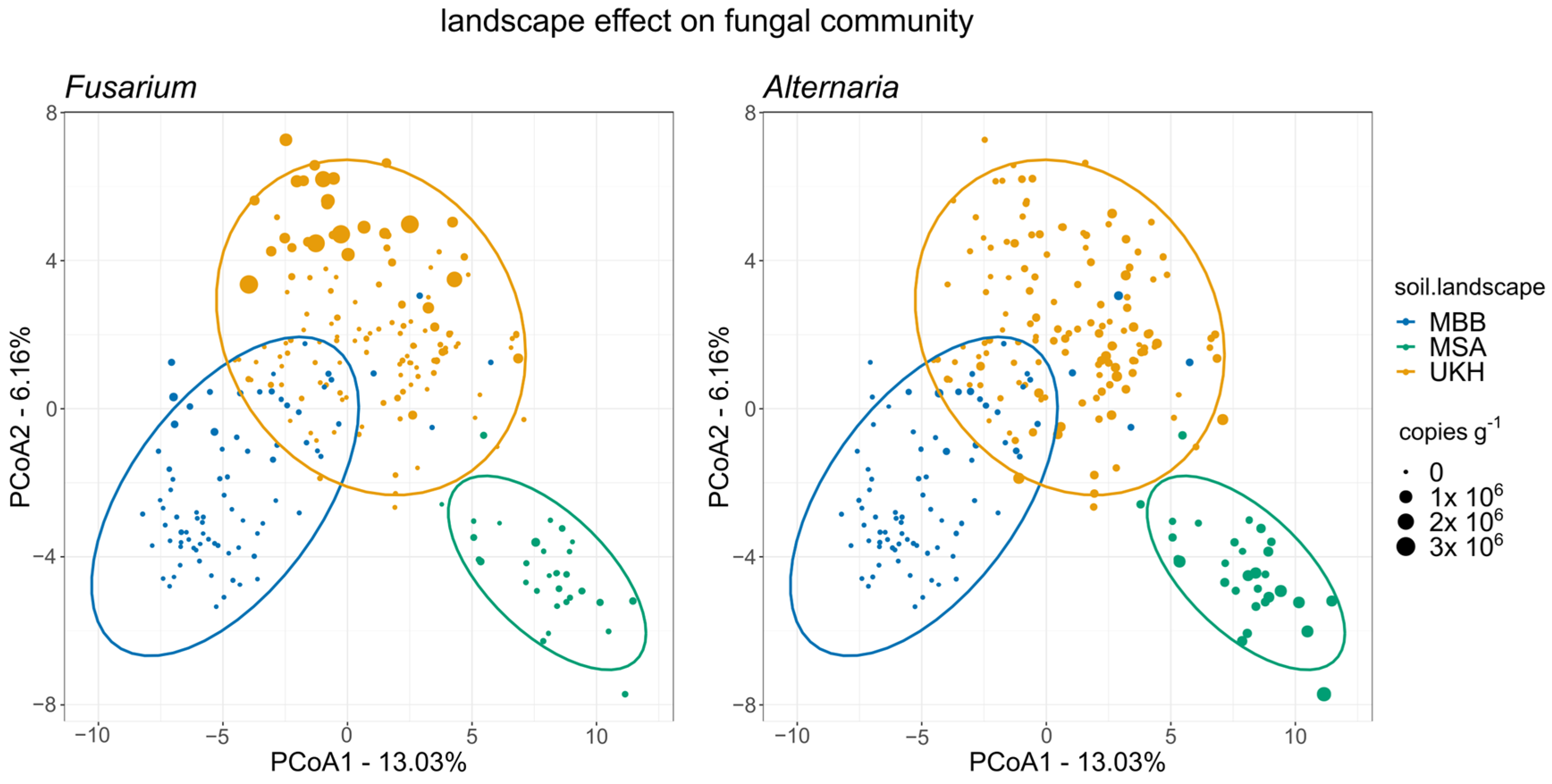 Plants 12 00507 g007 Plants 12 00507 g007