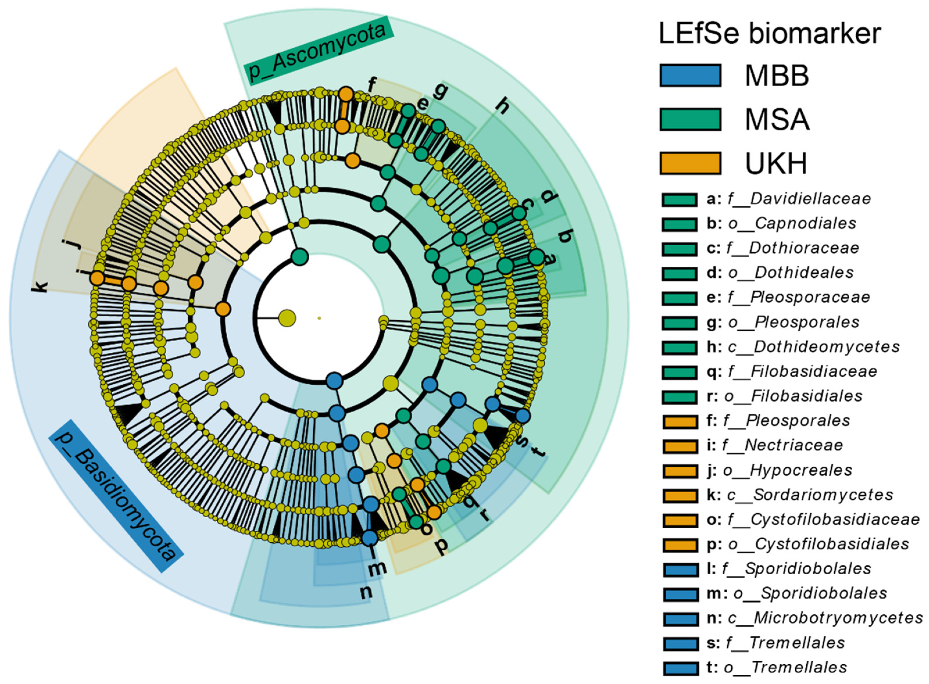 Plants 12 00507 g010 Plants 12 00507 g010