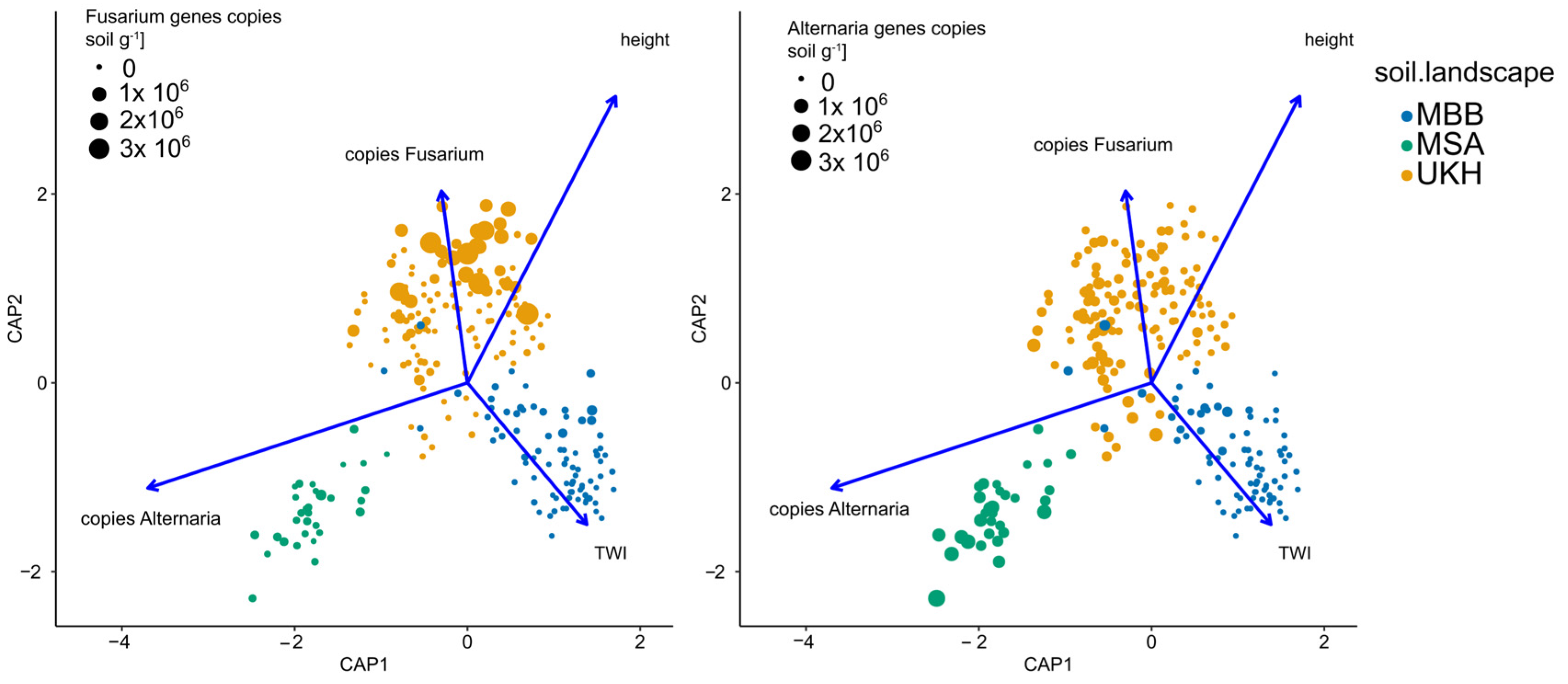 Plants 12 00507 g0a2 Plants 12 00507 g0a2