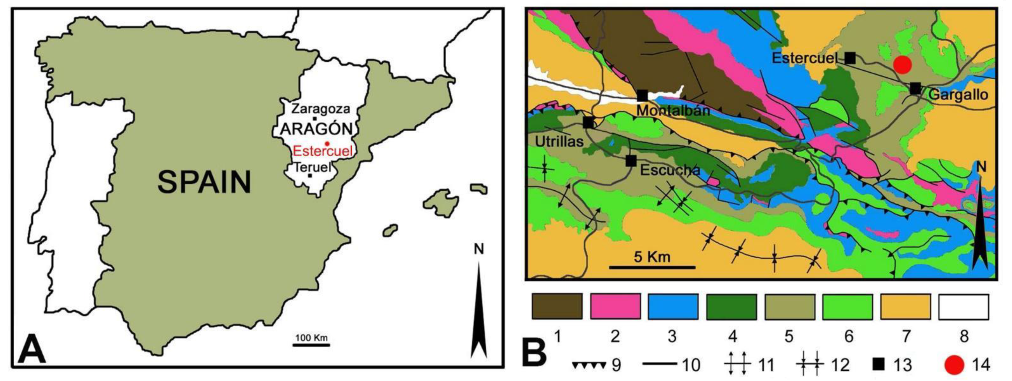 Plants 12 00508 g001