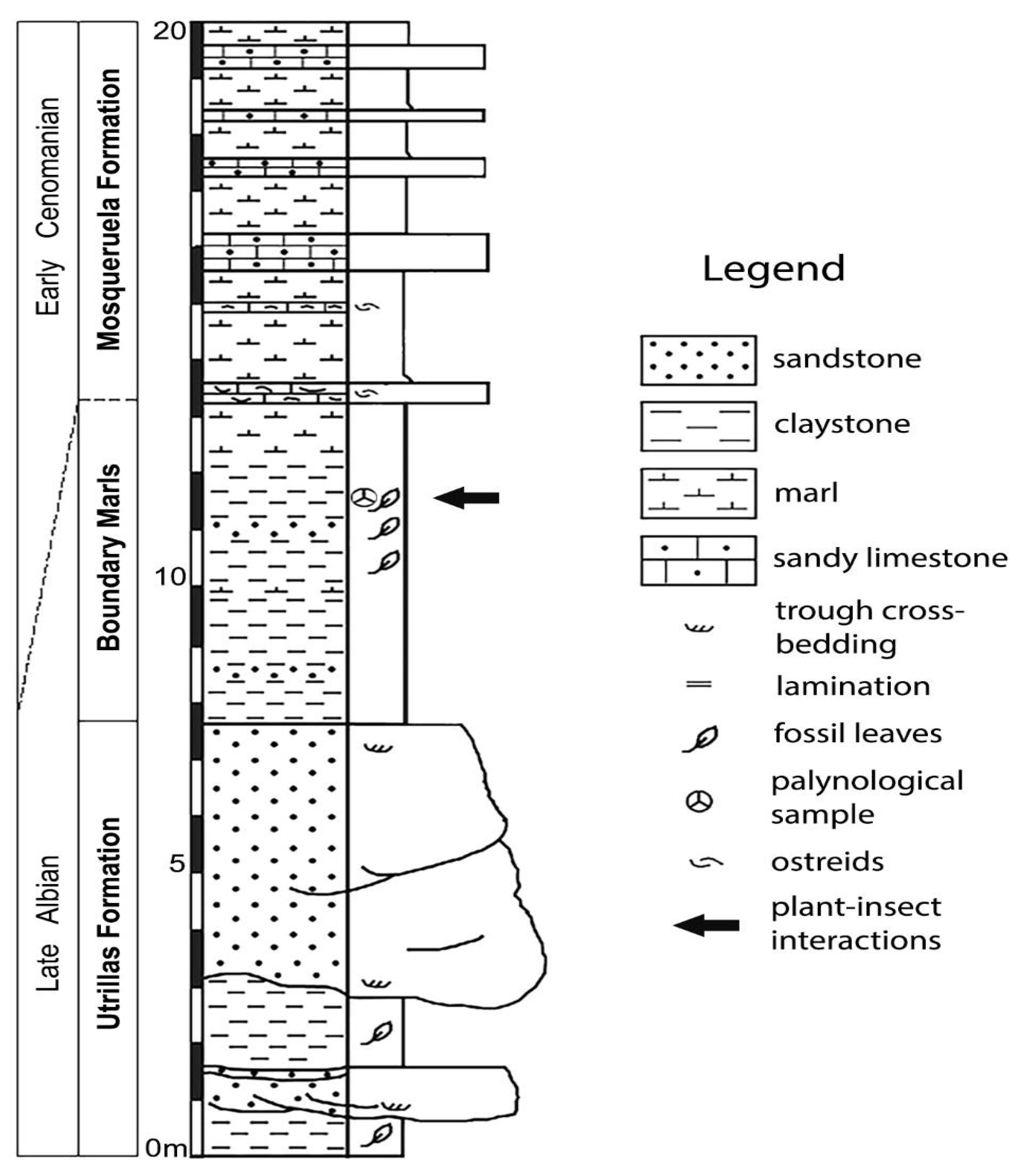 Plants 12 00508 g002