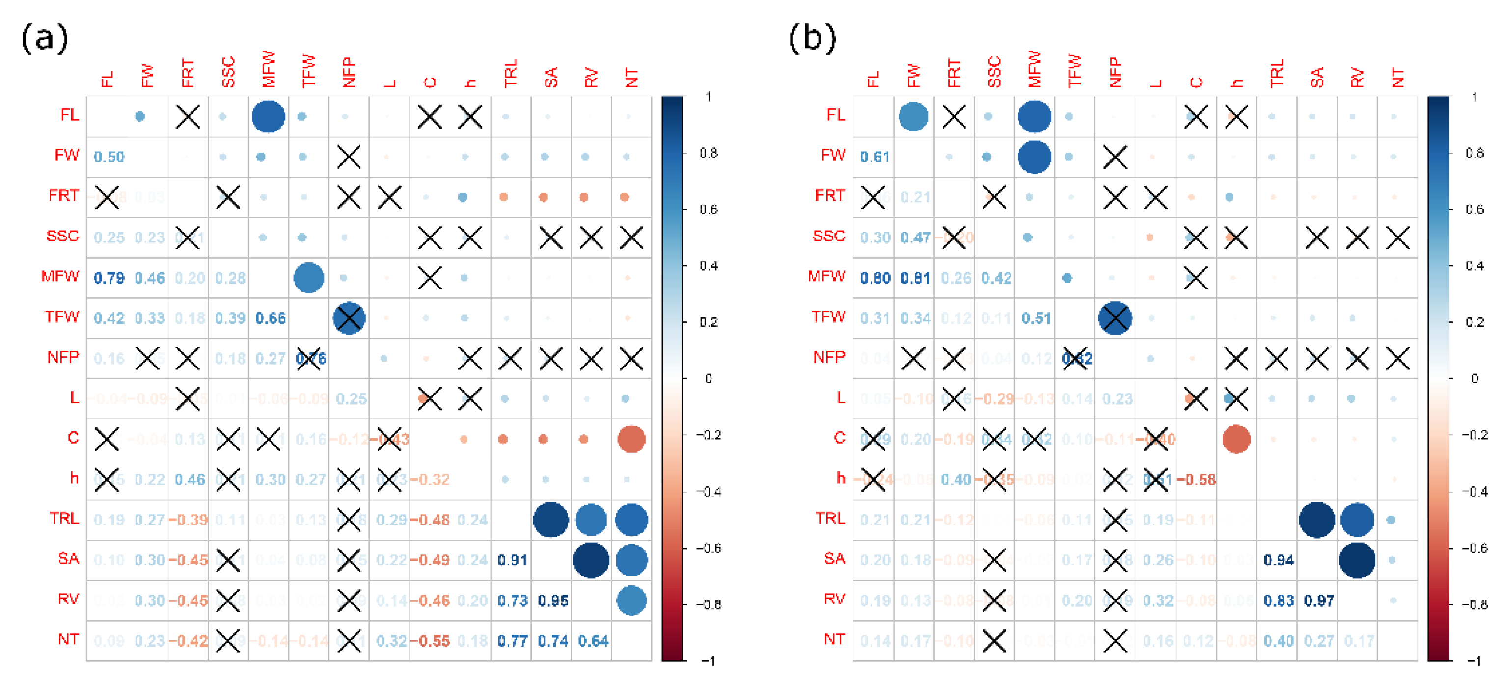 Plants 12 00509 g004 Plants 12 00509 g004