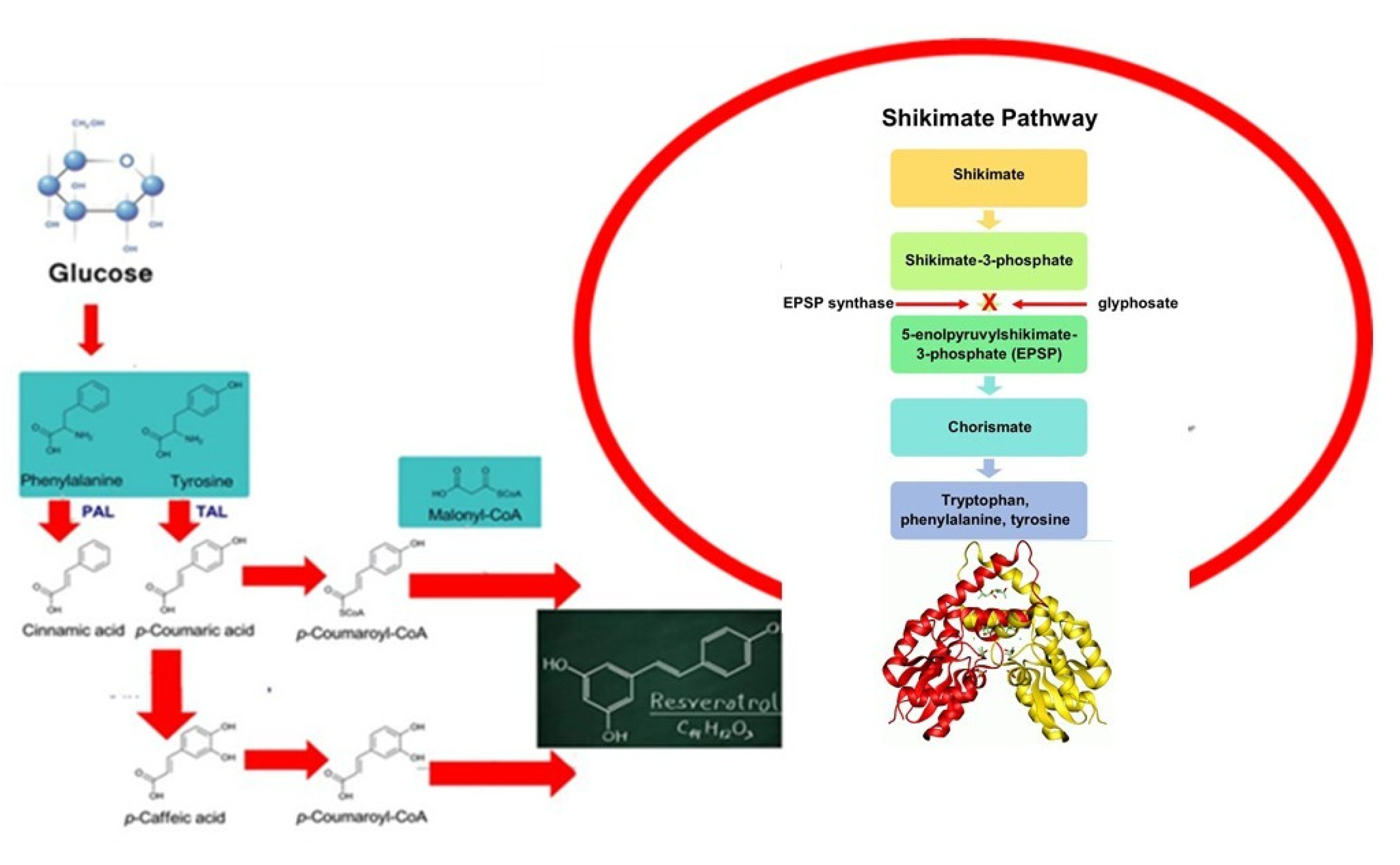 Plants 12 00513 g006