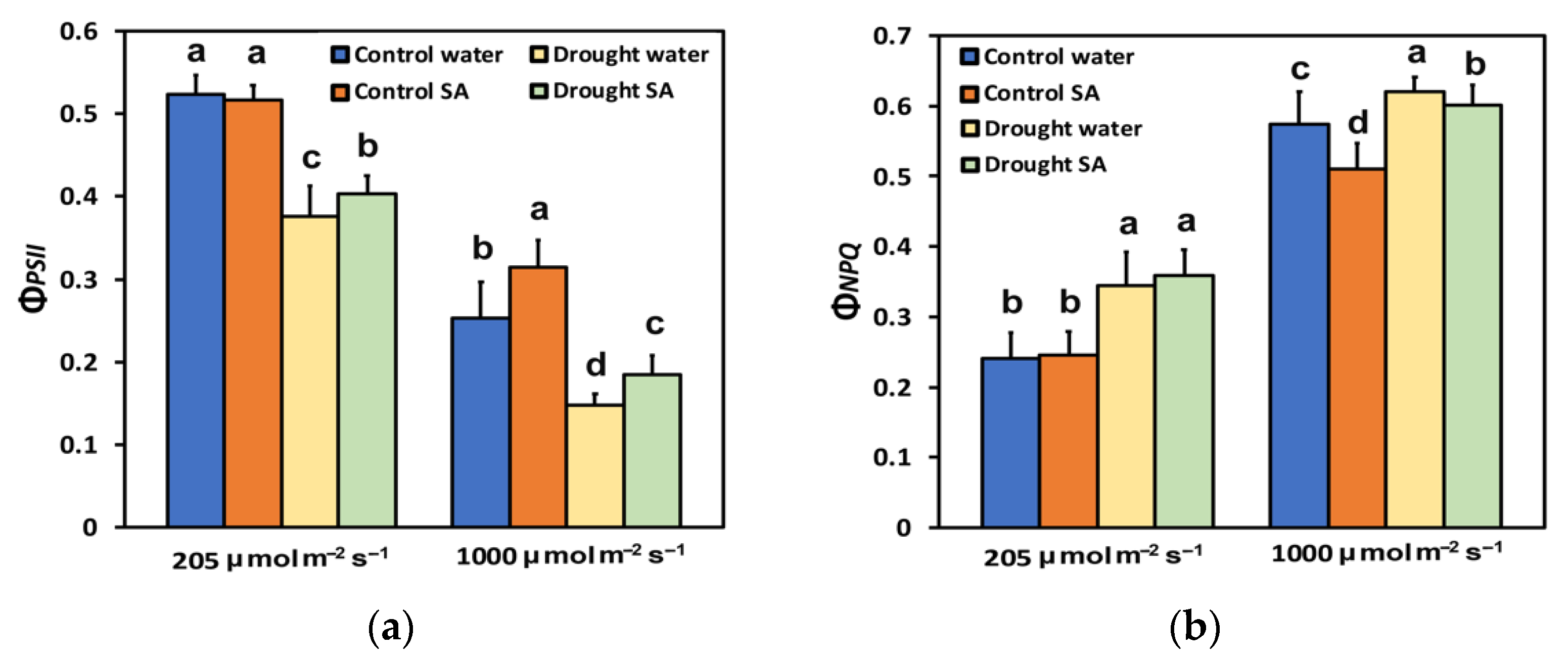 Plants 12 00518 g002 Plants 12 00518 g002