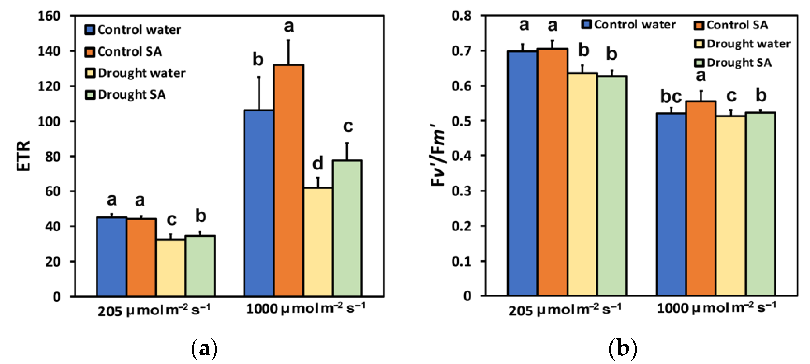 Plants 12 00518 g004 Plants 12 00518 g004