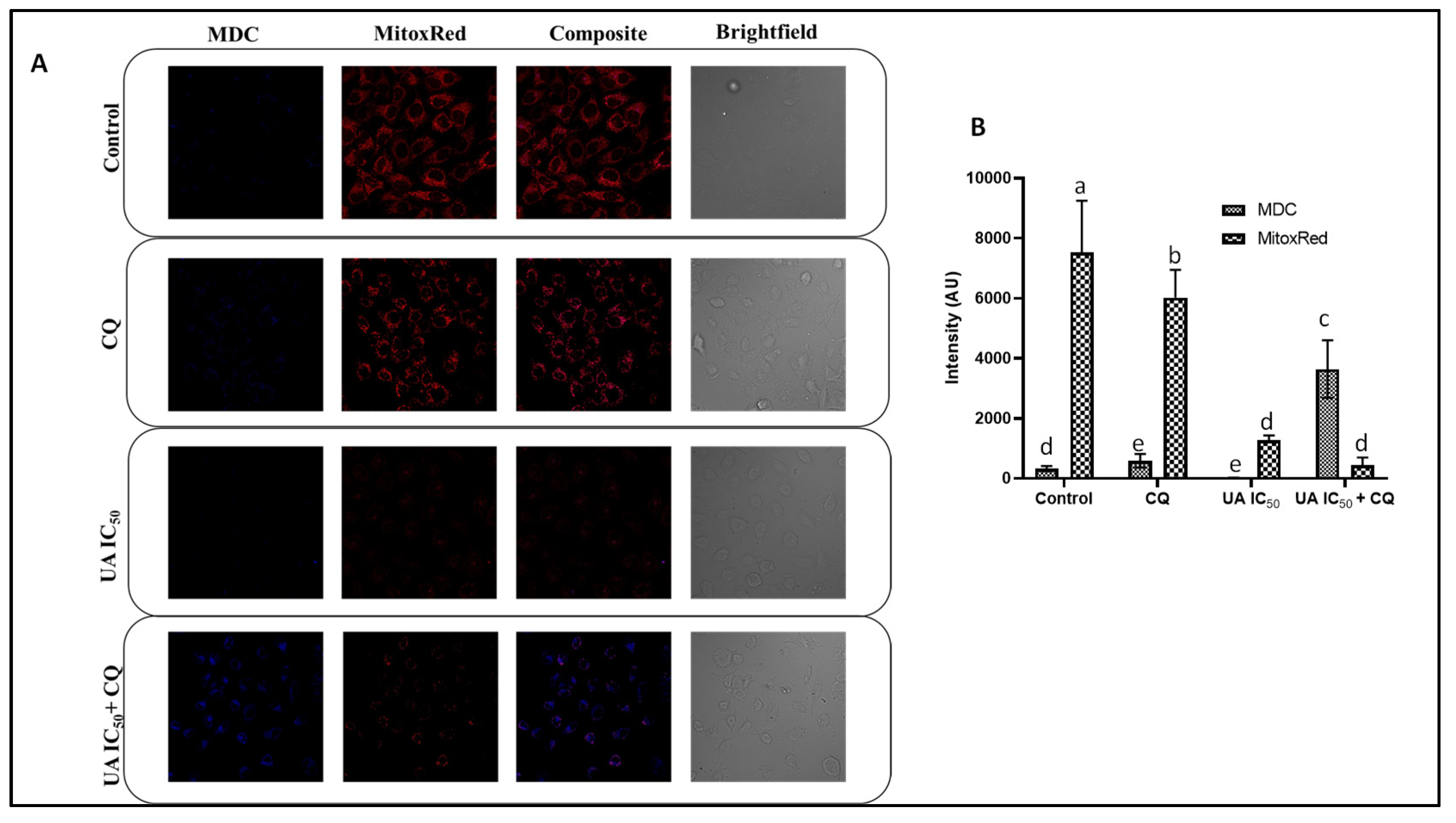 Plants 12 00519 g005 Plants 12 00519 g005
