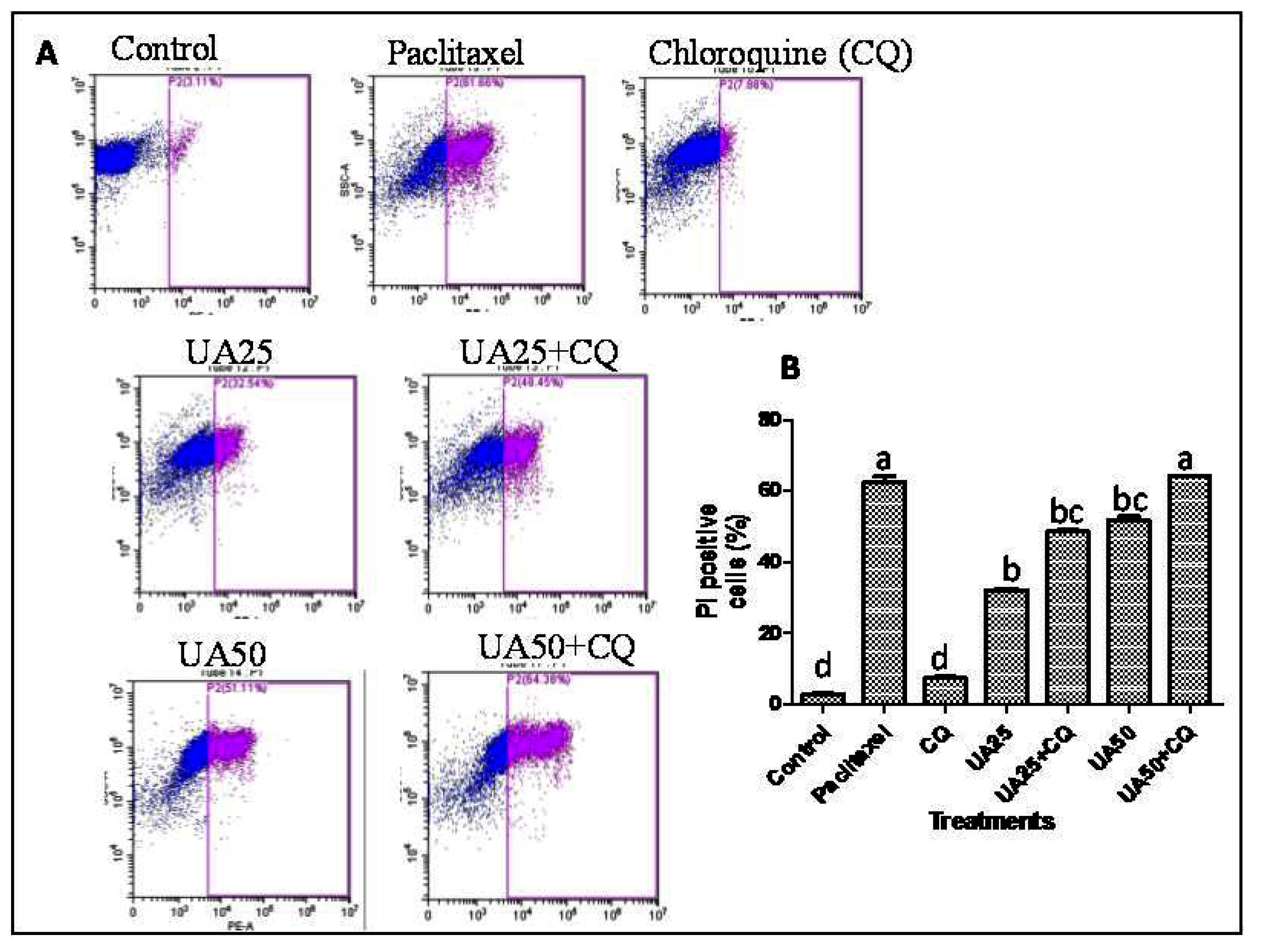 Plants 12 00519 g006 Plants 12 00519 g006