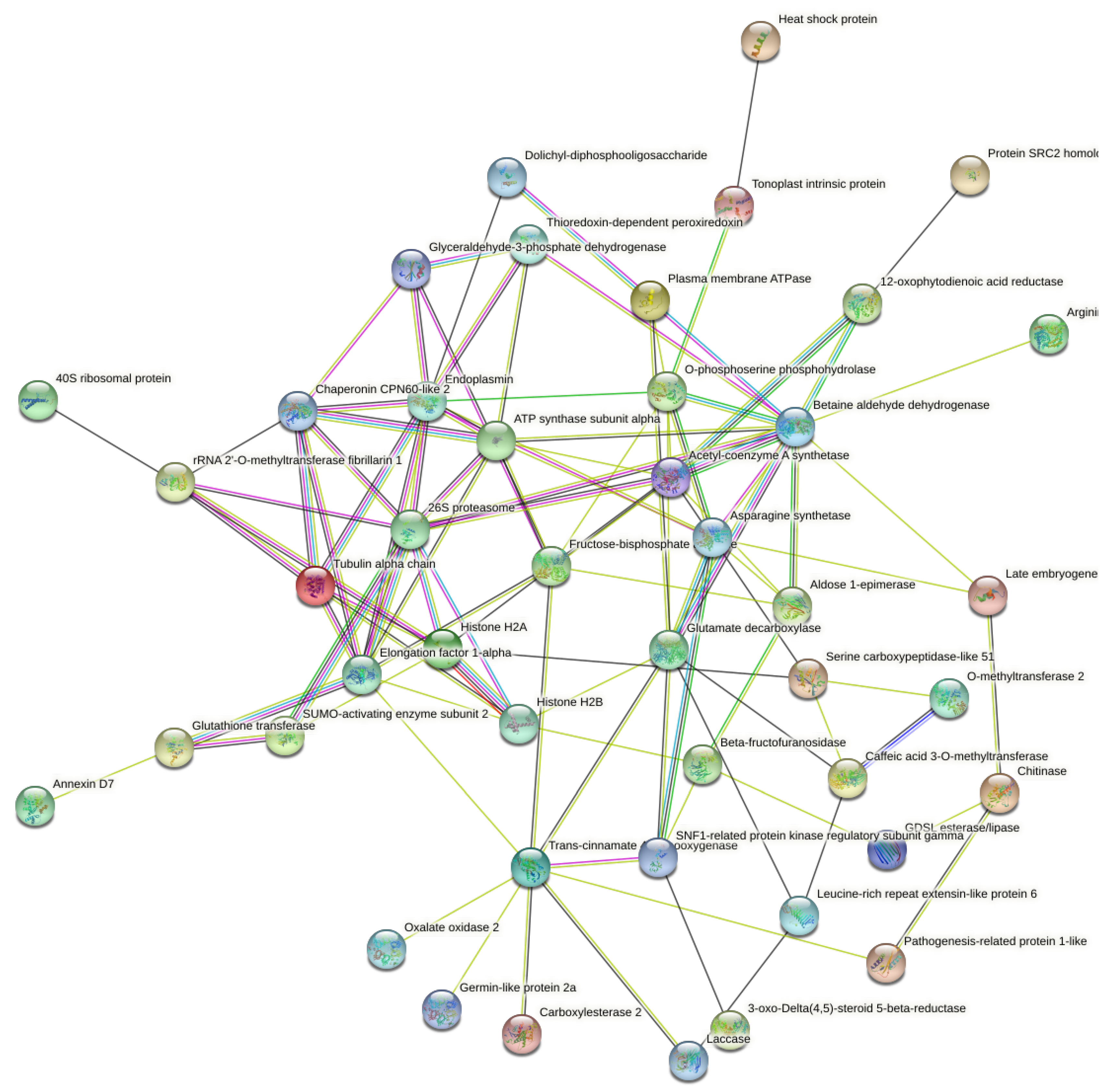 Plants 12 00526 g005 Plants 12 00526 g005