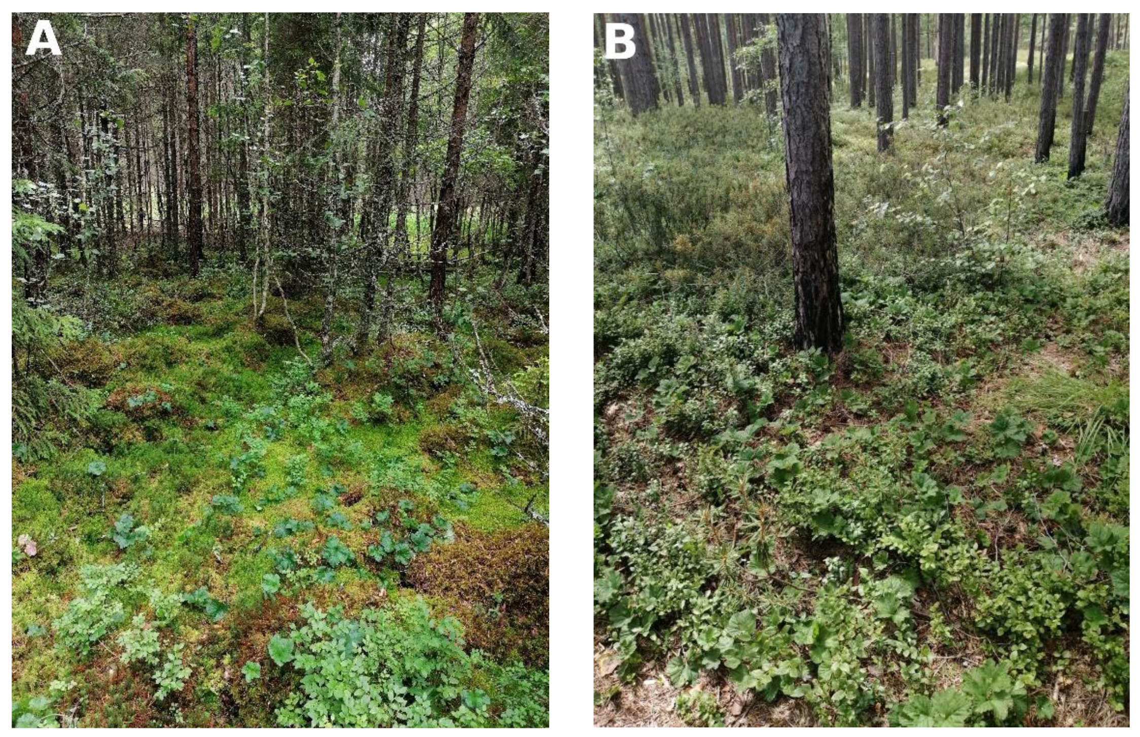 Plants 12 00528 g001 Plants 12 00528 g001