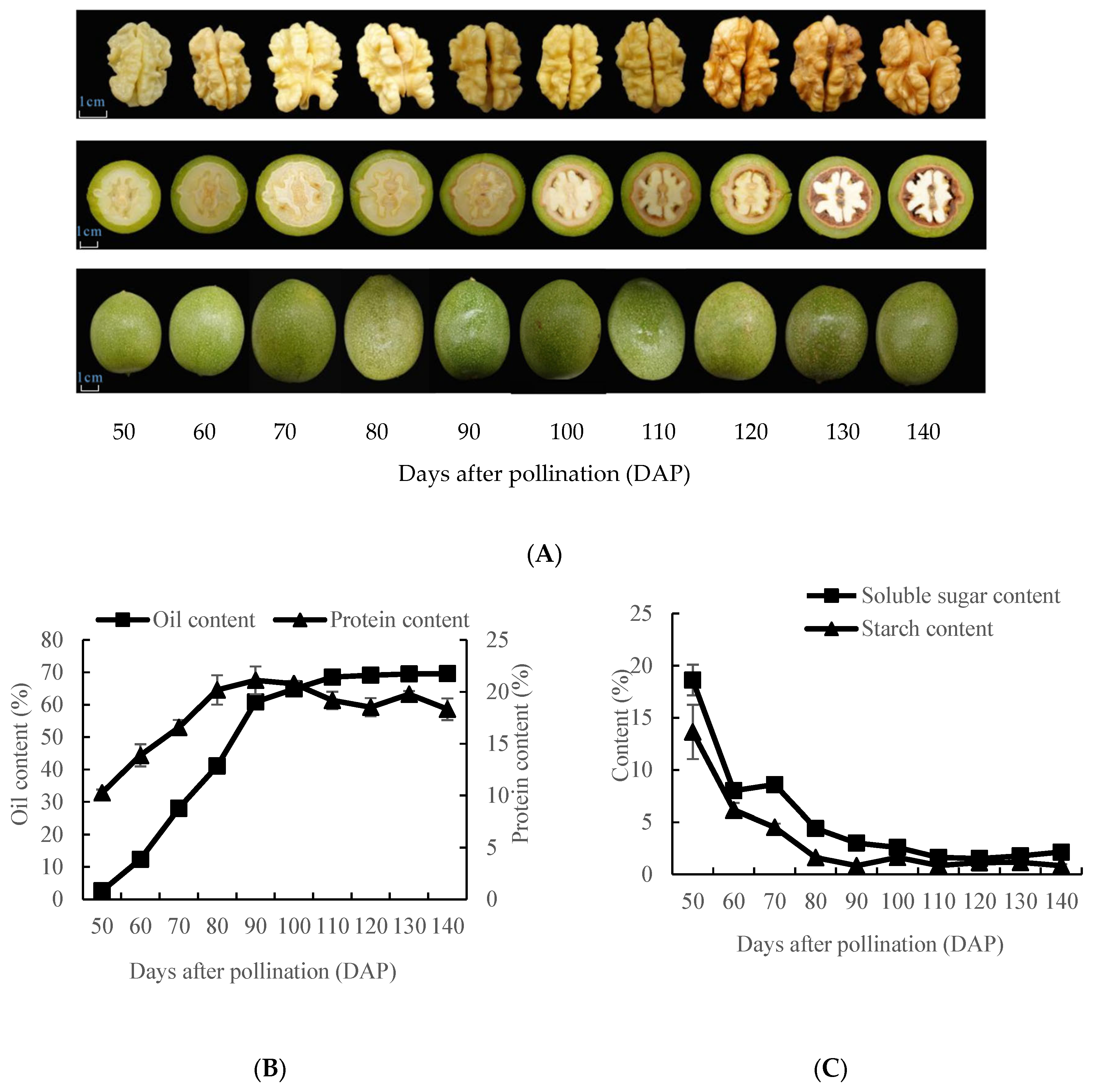 Plants 12 00538 g001 Plants 12 00538 g001