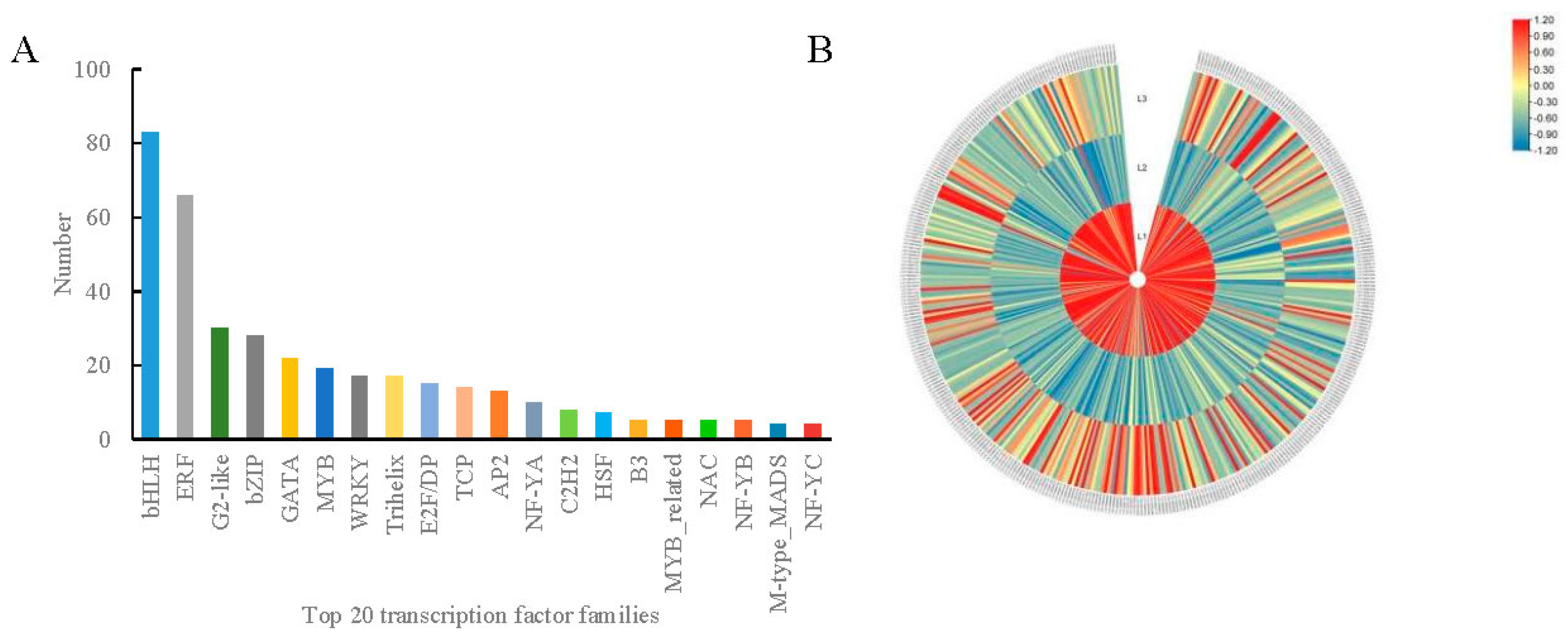 Plants 12 00538 g005 Plants 12 00538 g005