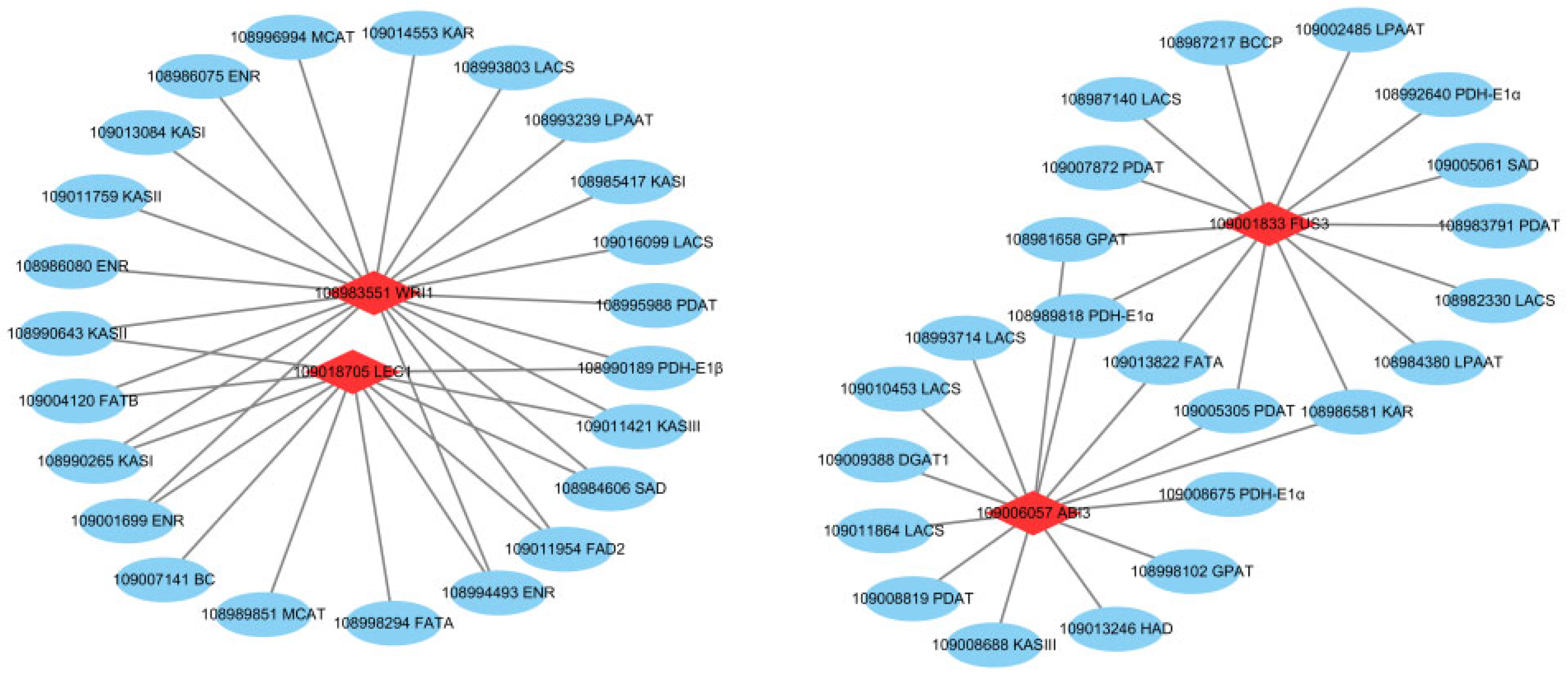 Plants 12 00538 g008 Plants 12 00538 g008