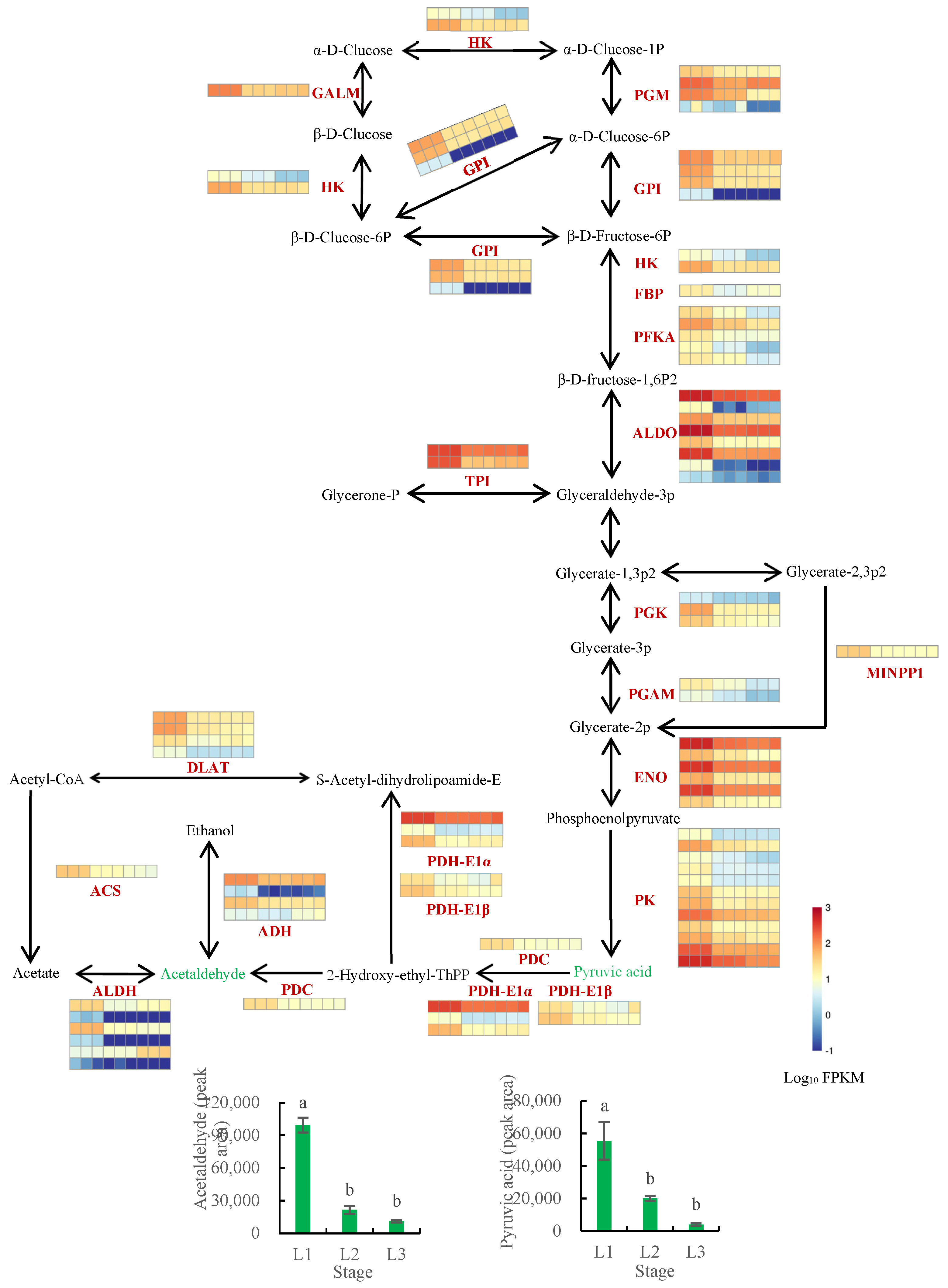 Plants 12 00538 g009 Plants 12 00538 g009
