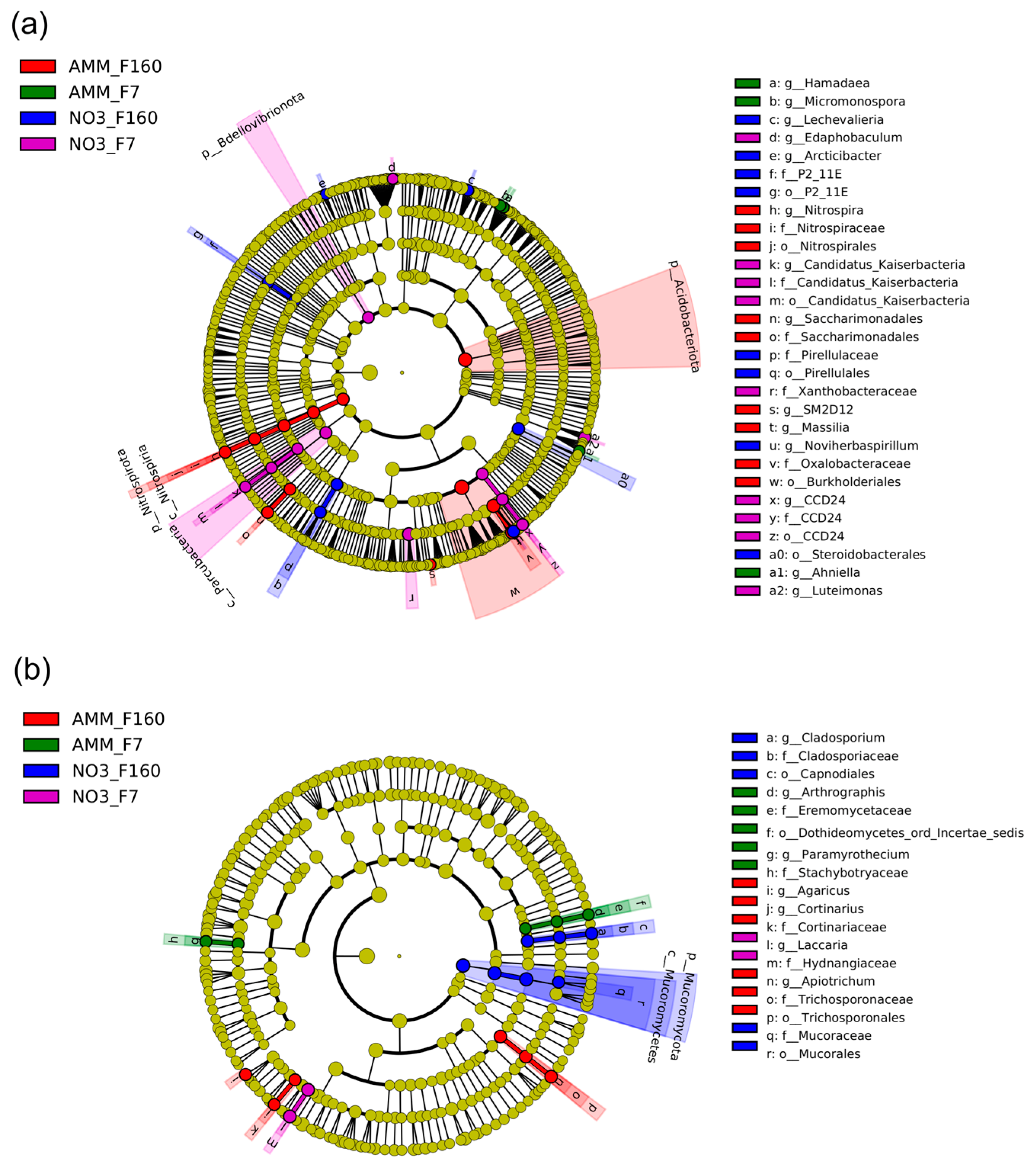 Plants 12 00544 g007 Plants 12 00544 g007
