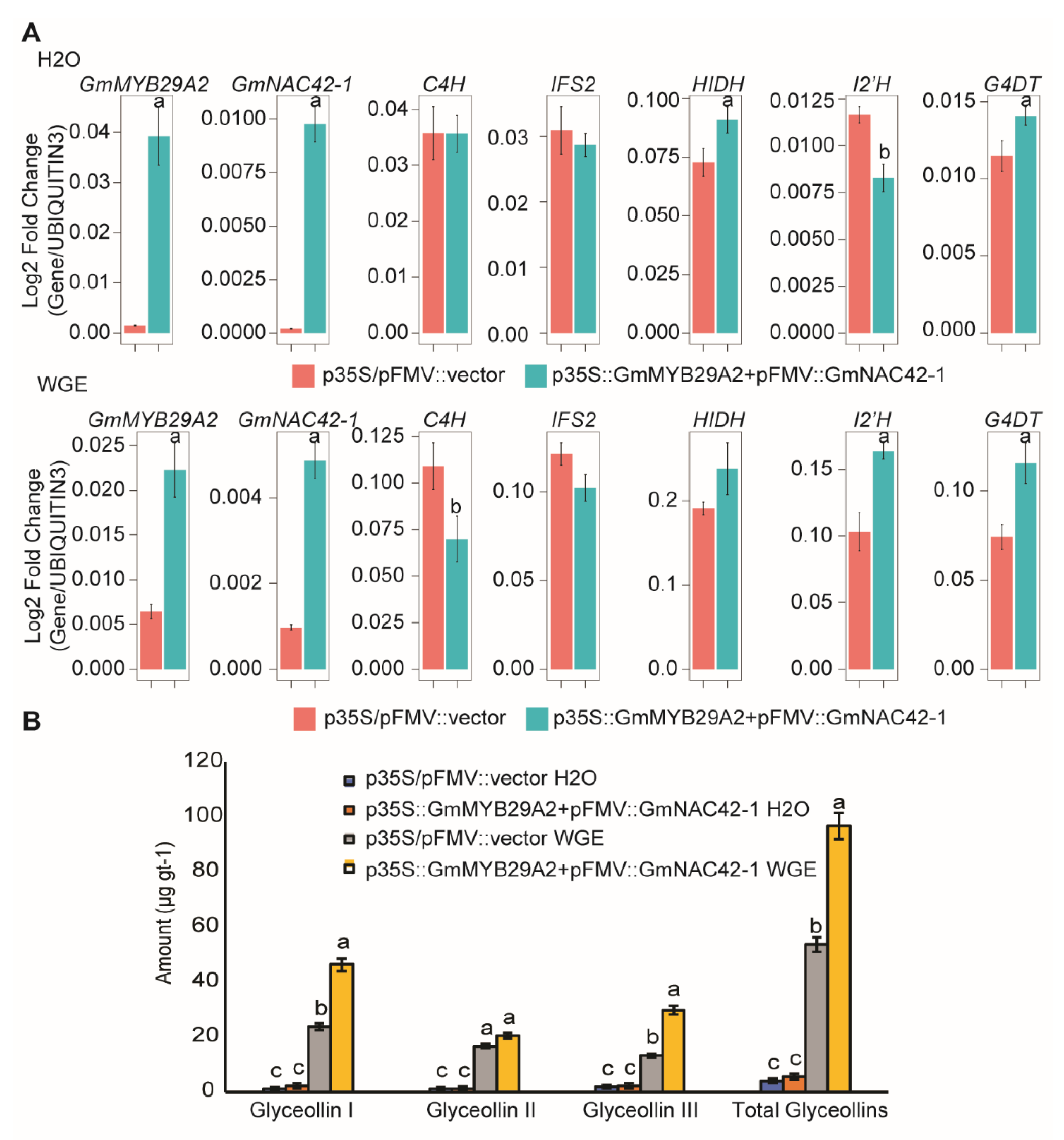 Plants 12 00545 g002