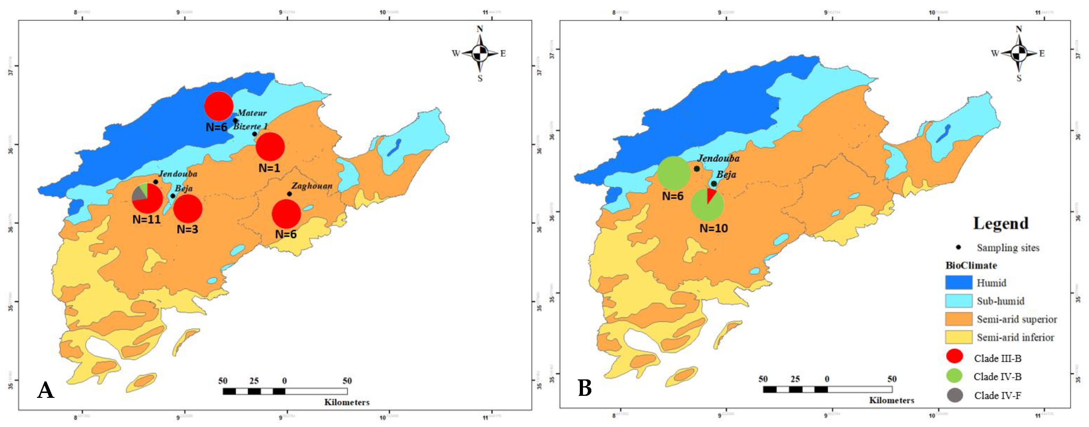 Plants 12 00552 g001