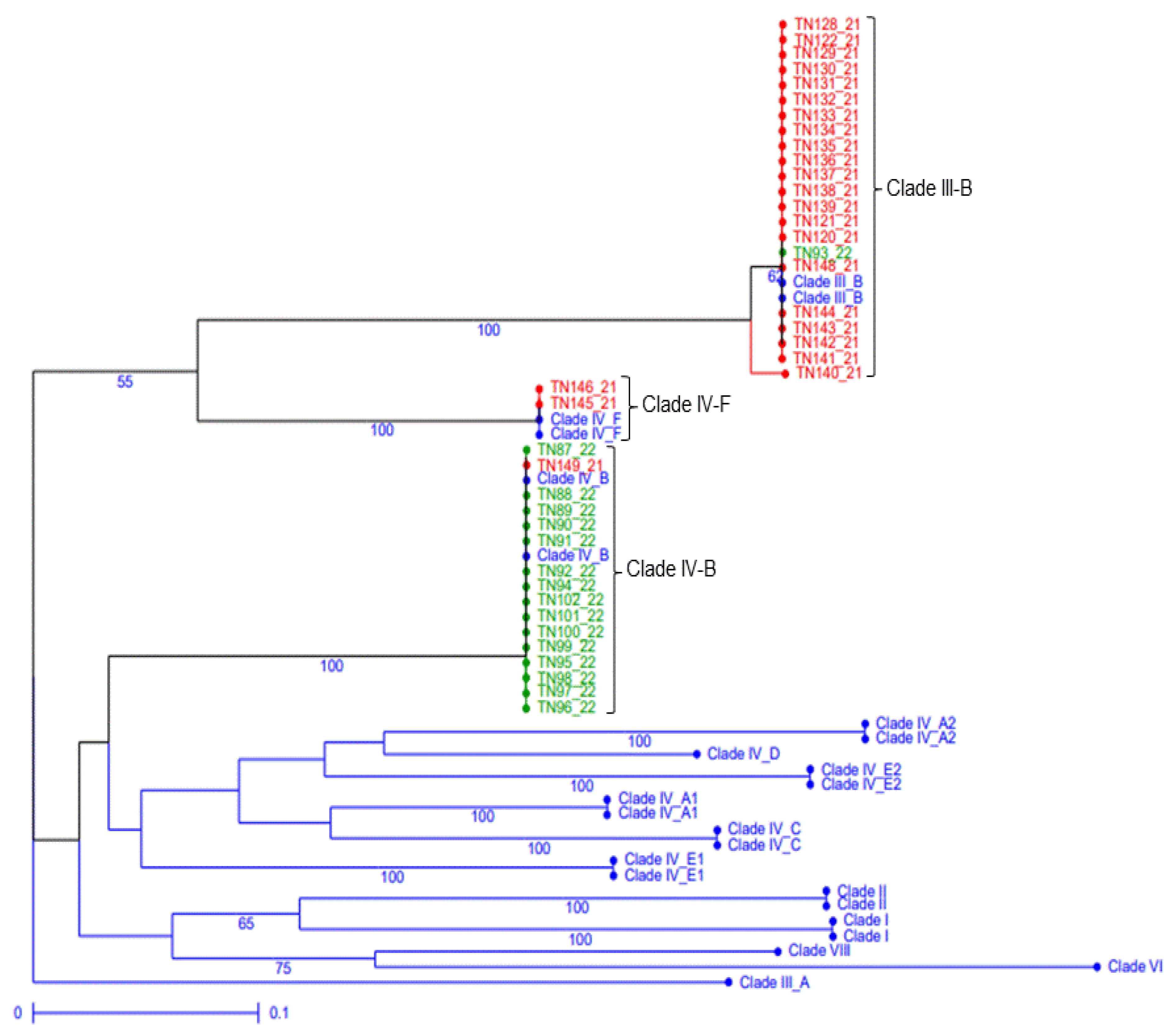 Plants 12 00552 g002