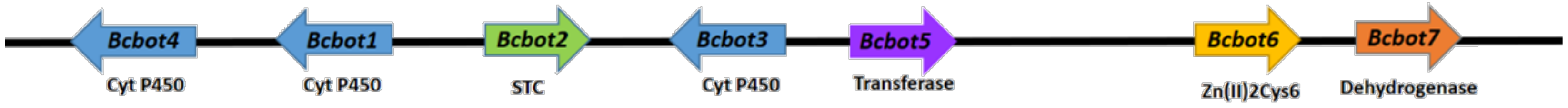 Plants 12 00553 g002