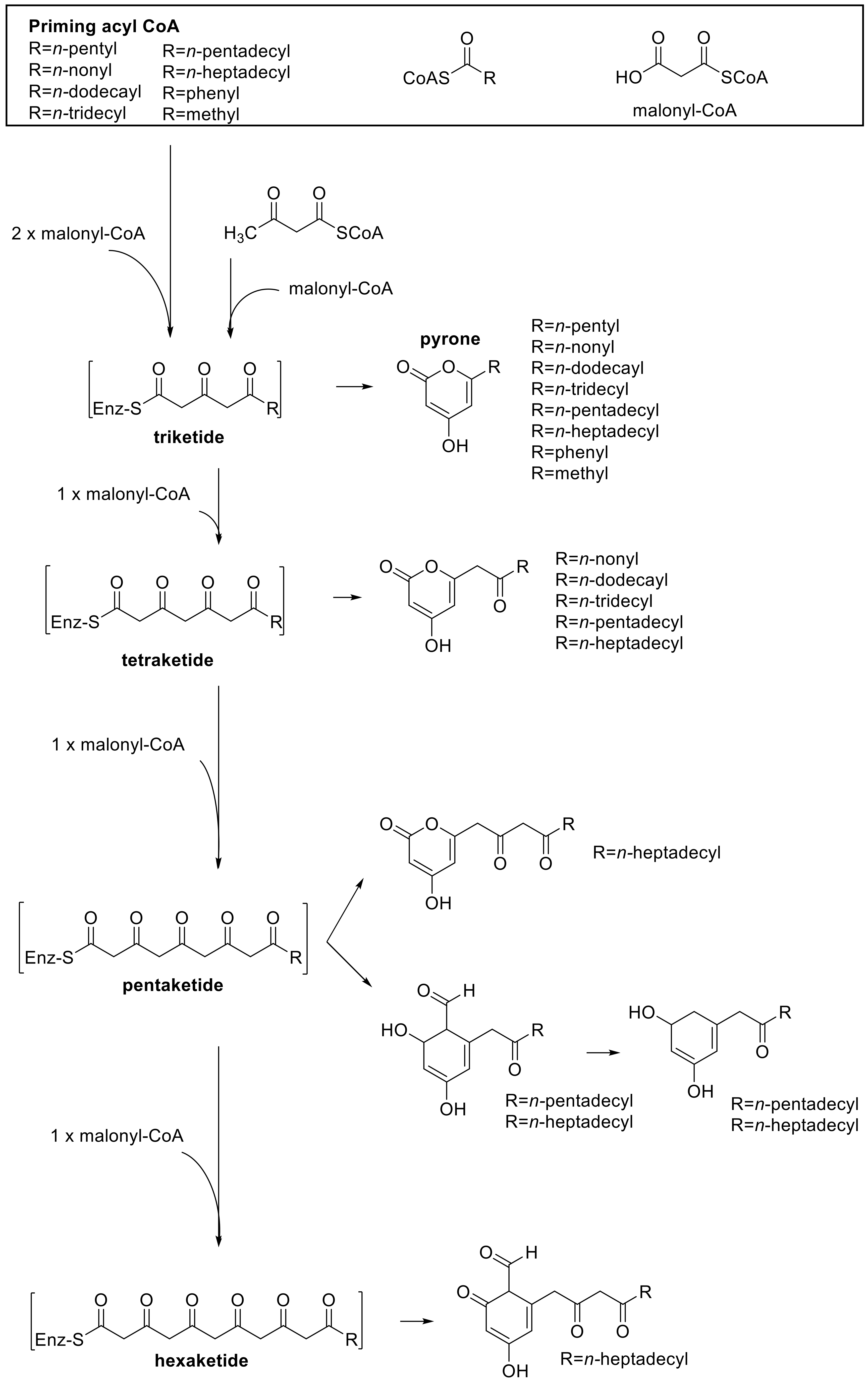 Plants 12 00553 g008