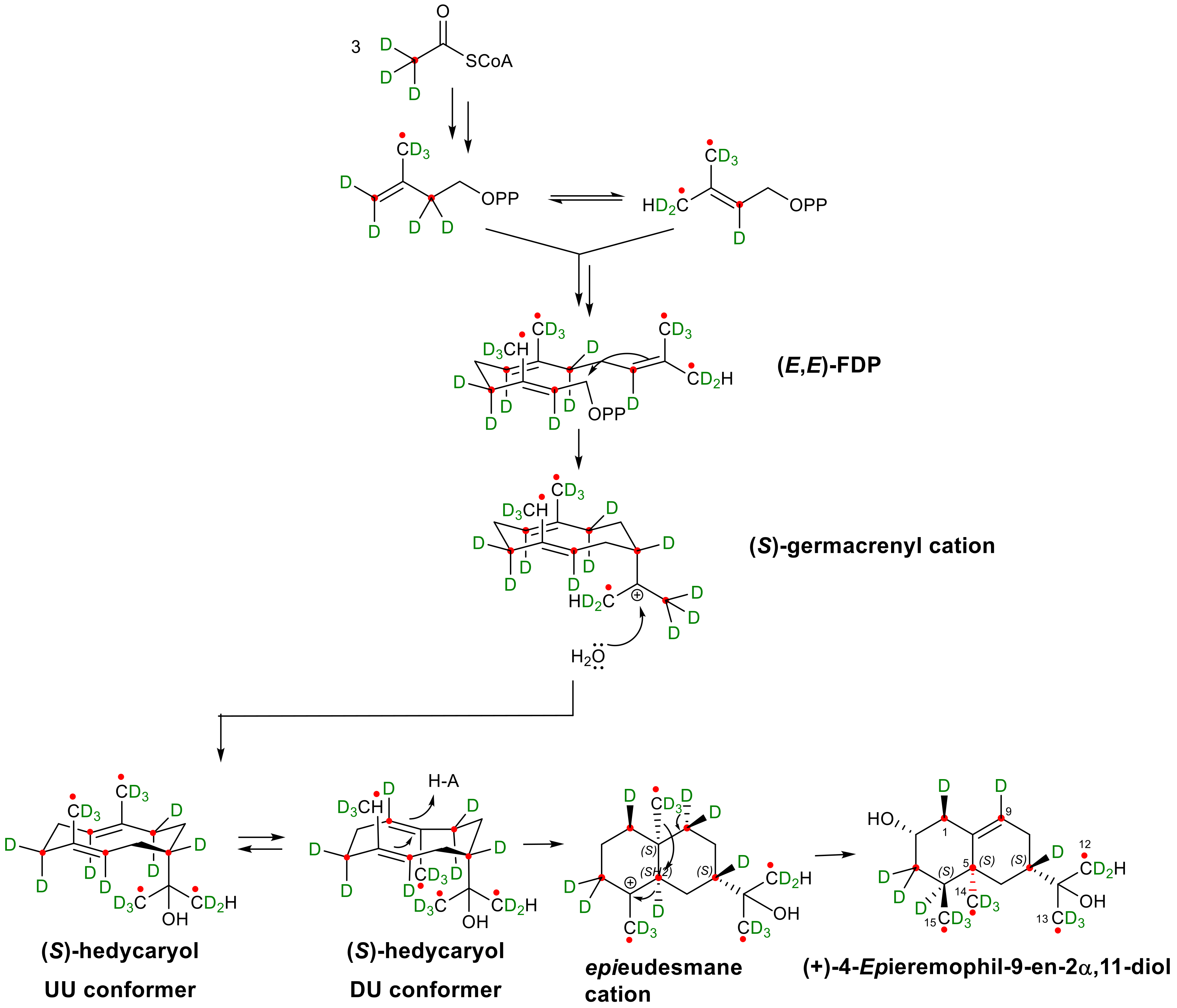 Plants 12 00553 g014