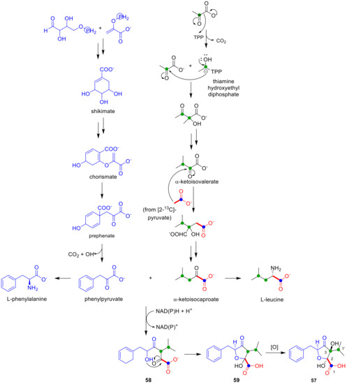 From Genes to Molecules, Secondary Metabolism in Botrytis