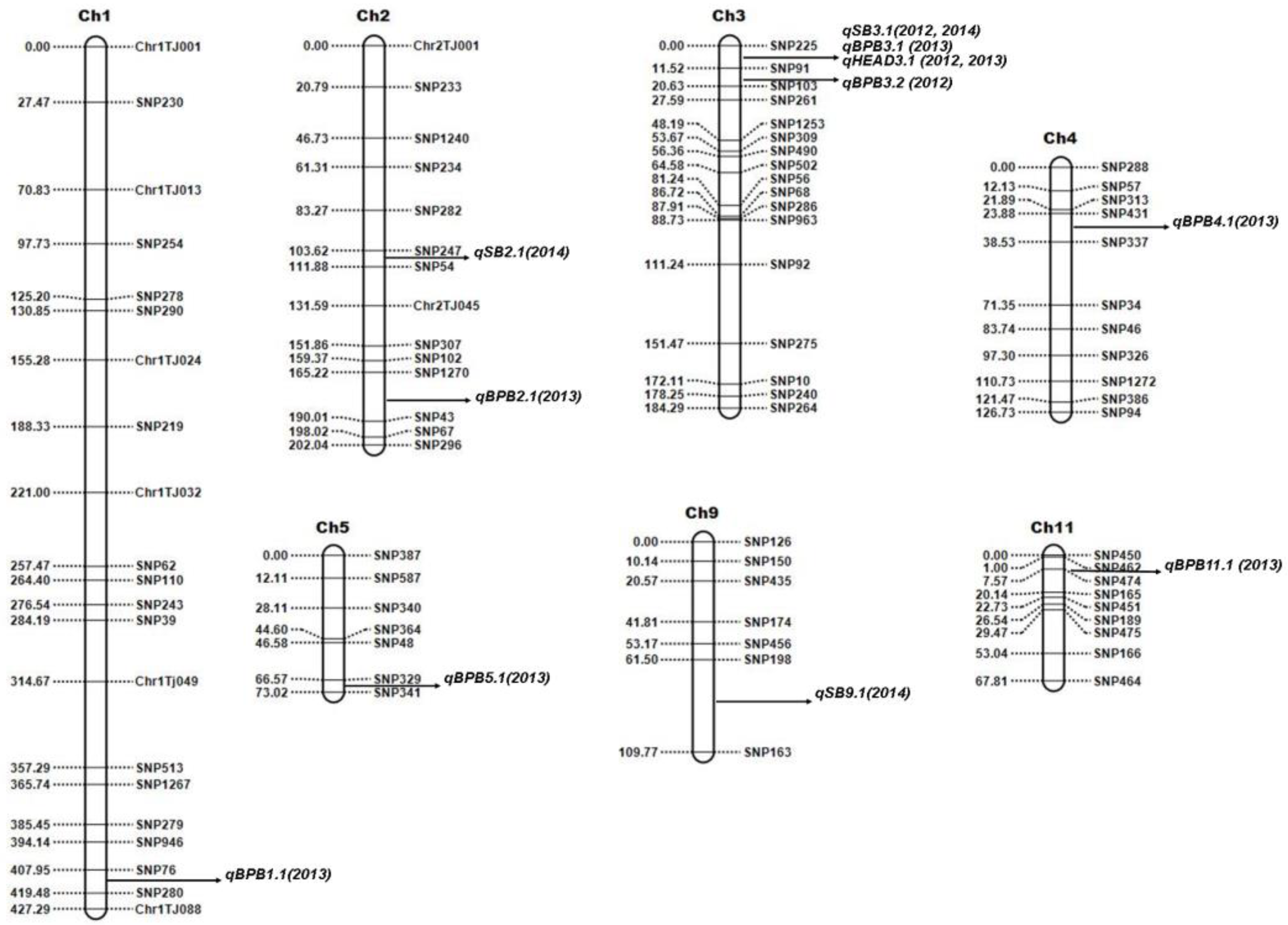 Plants 12 00559 g002