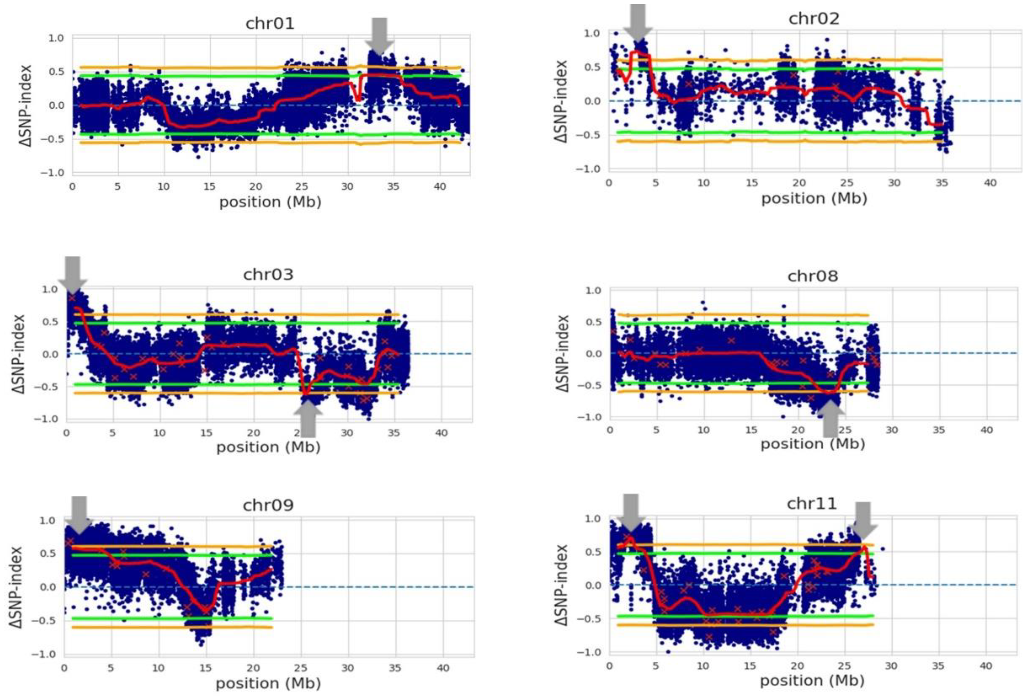 Plants 12 00559 g003