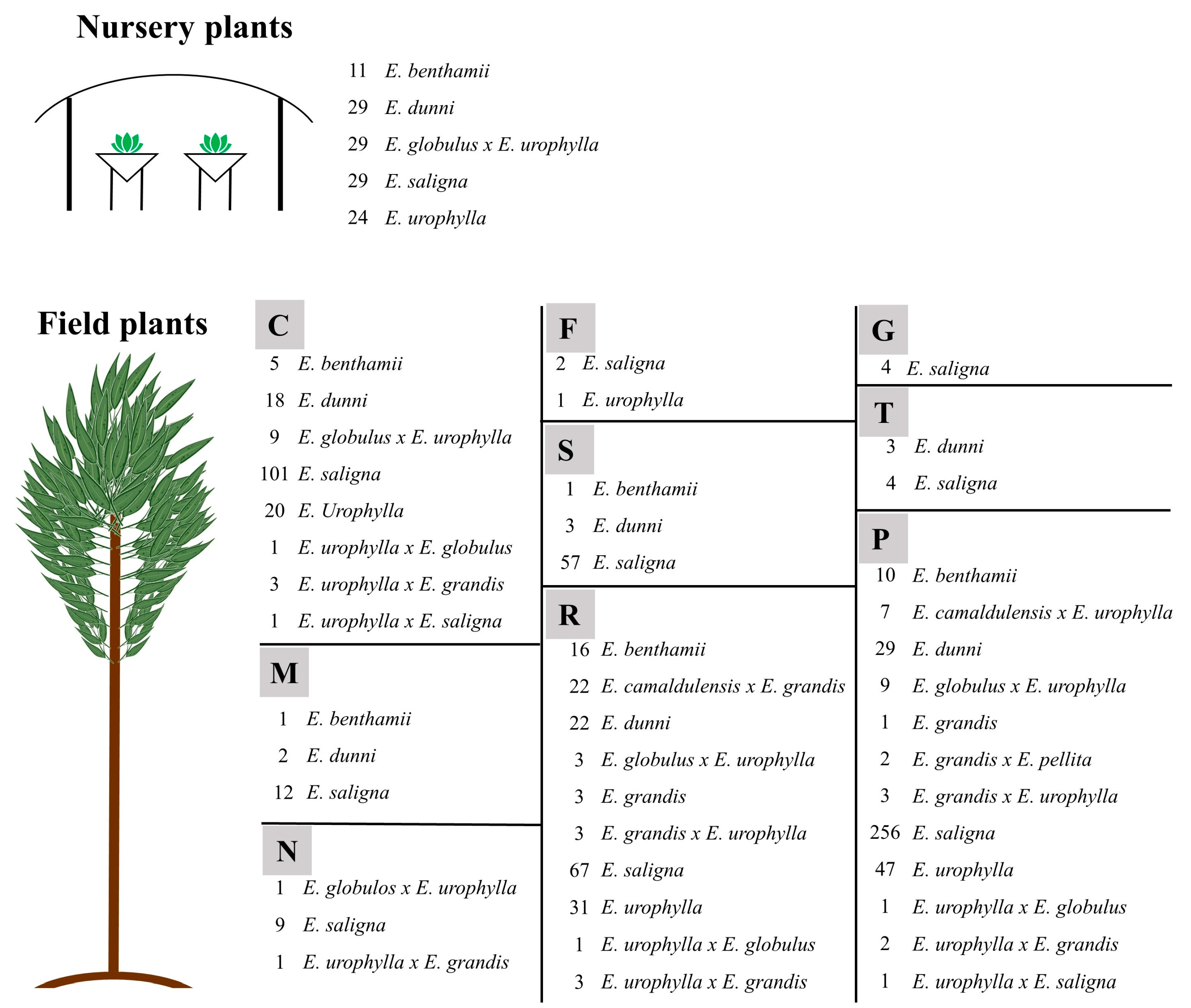 Plants 12 00561 g006 Plants 12 00561 g006