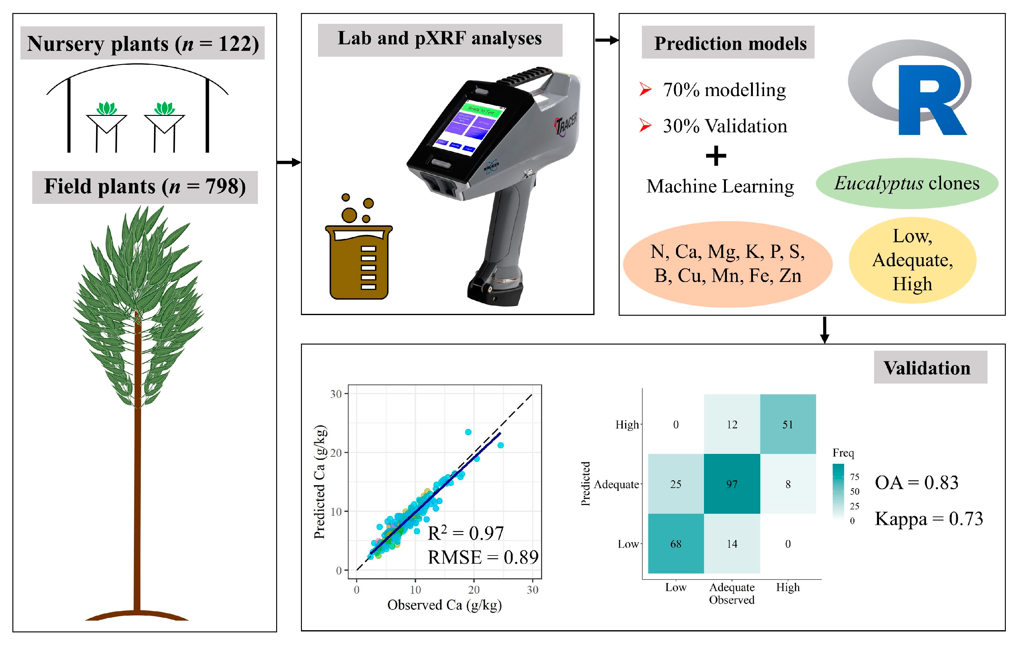 Plants 12 00561 g007 Plants 12 00561 g007