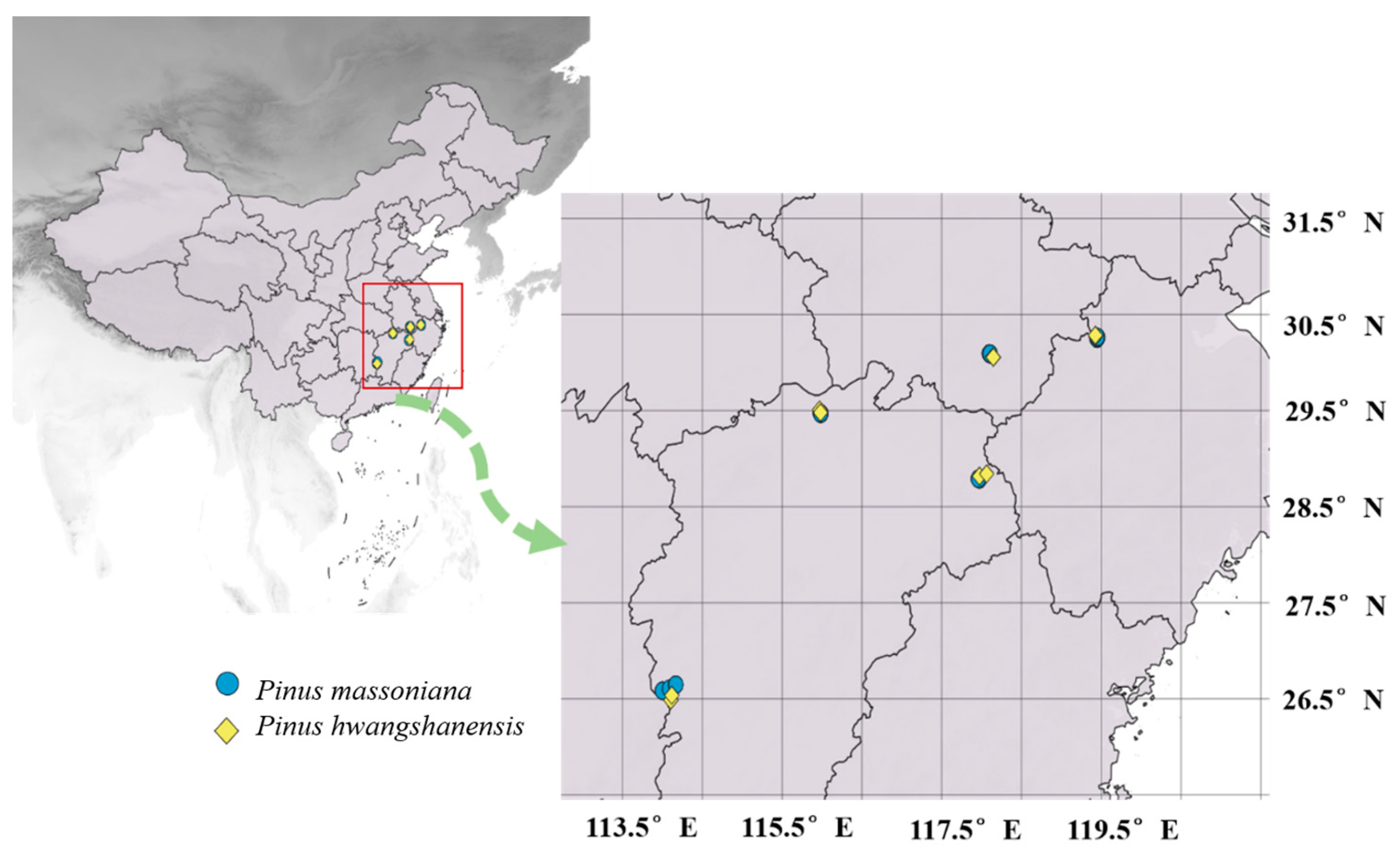Plants 12 00562 g003