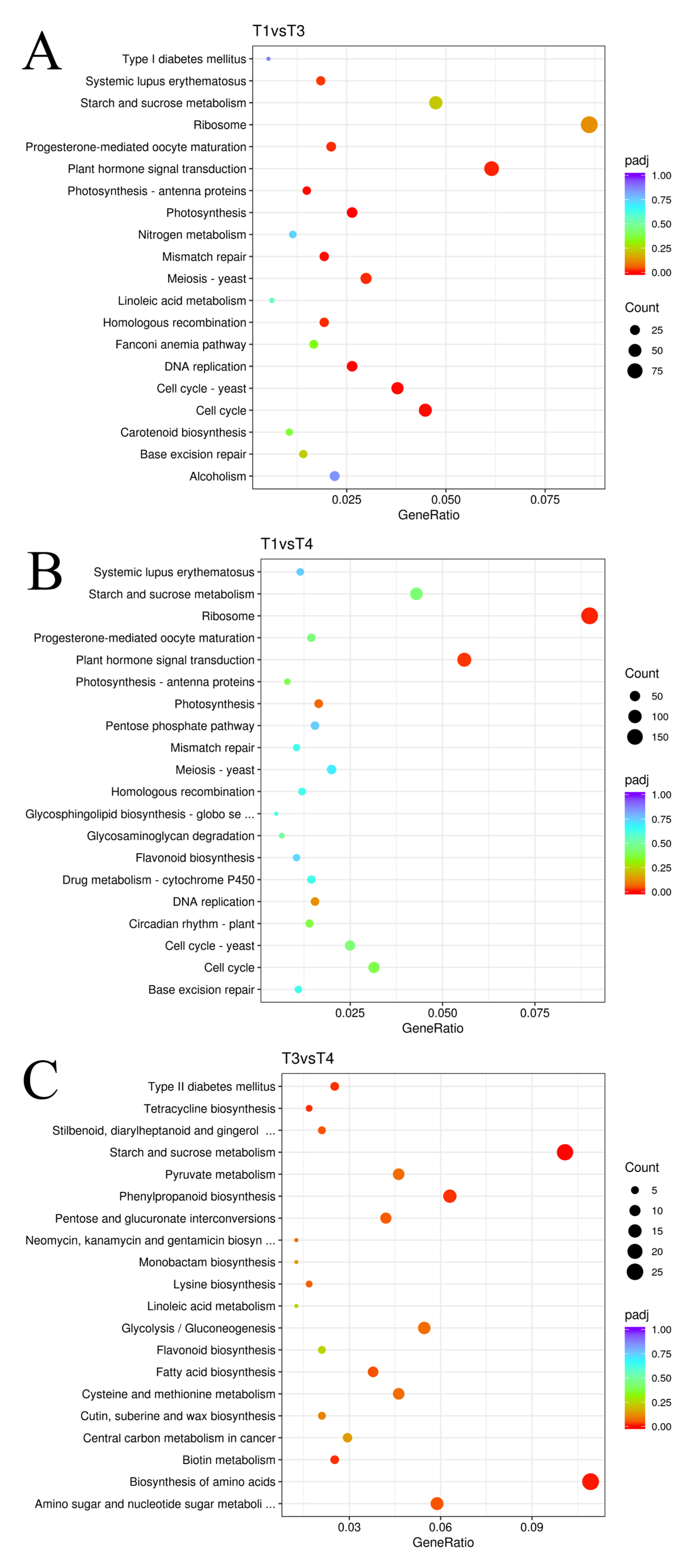 Plants 12 00563 g007