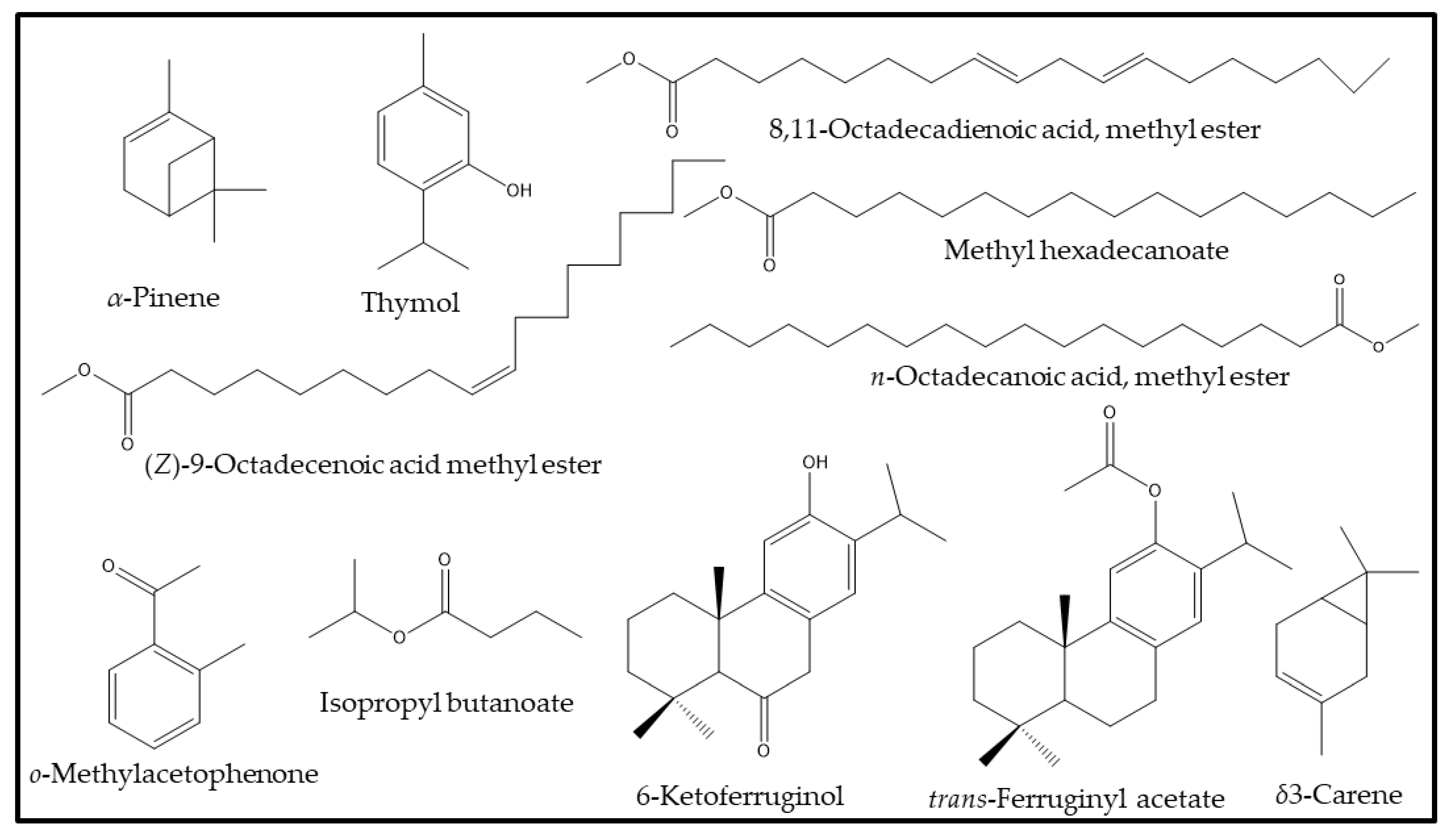 Plants 12 00567 g003