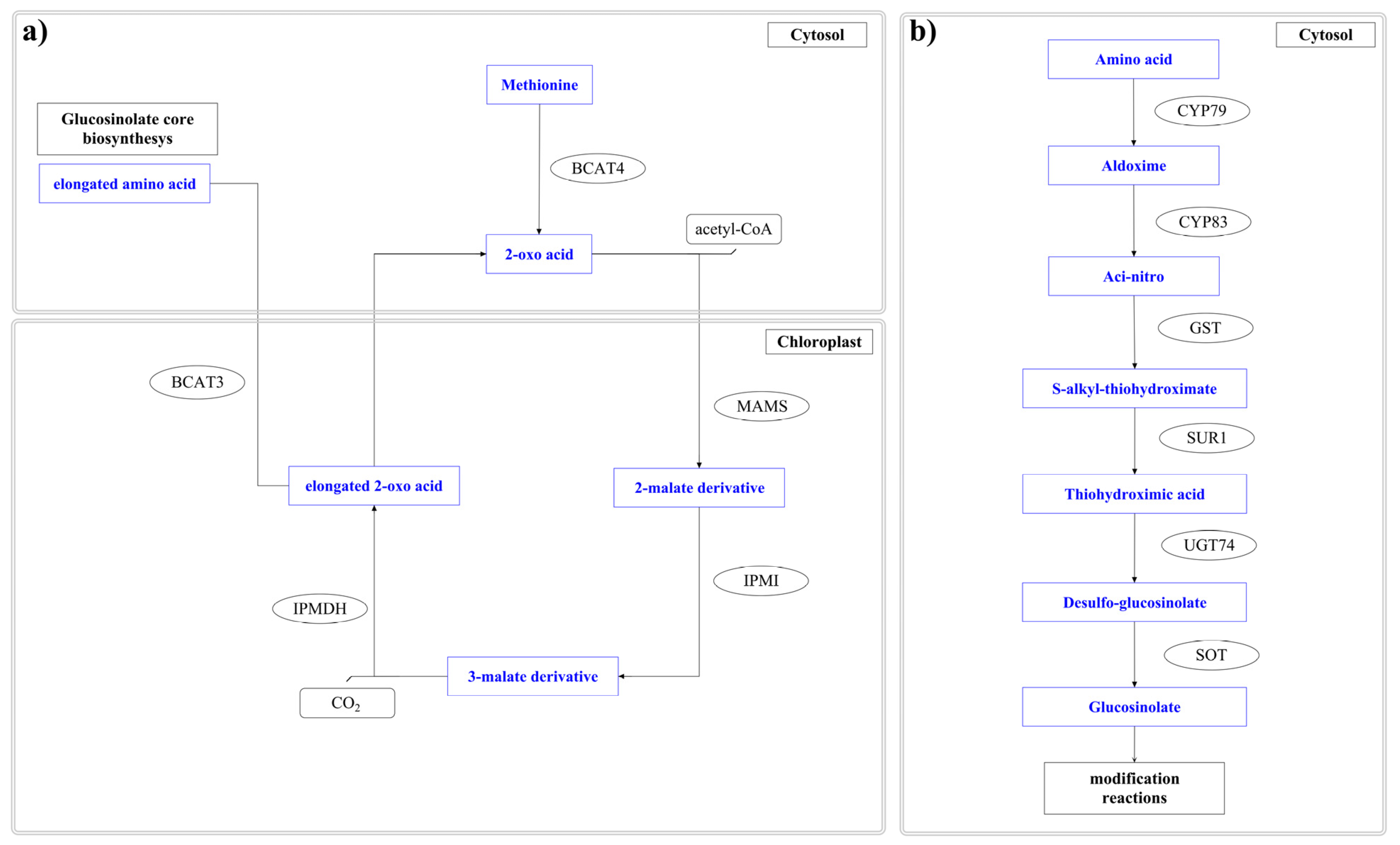 Plants 12 00570 g003 Plants 12 00570 g003