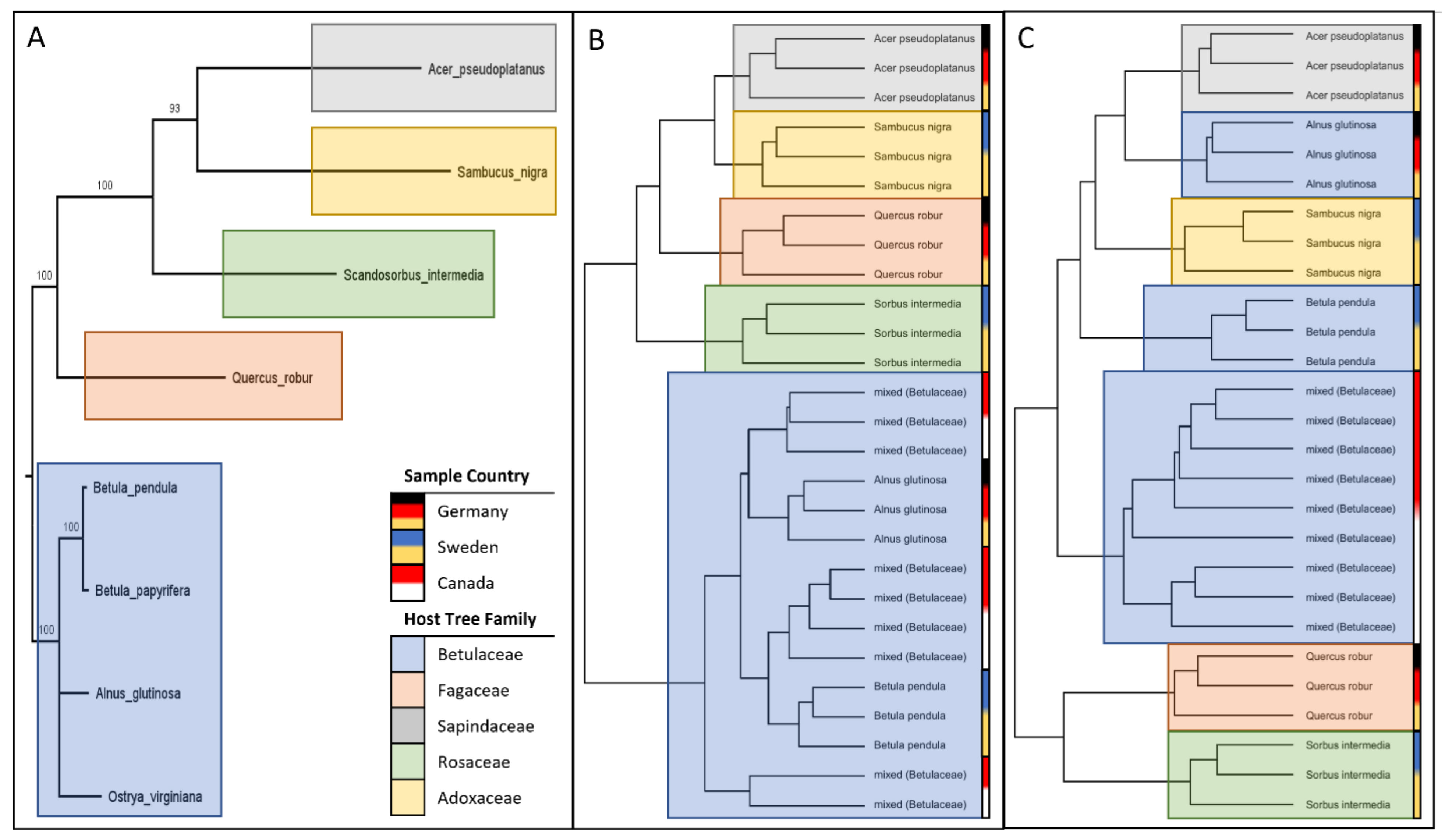 Plants 12 00571 g007