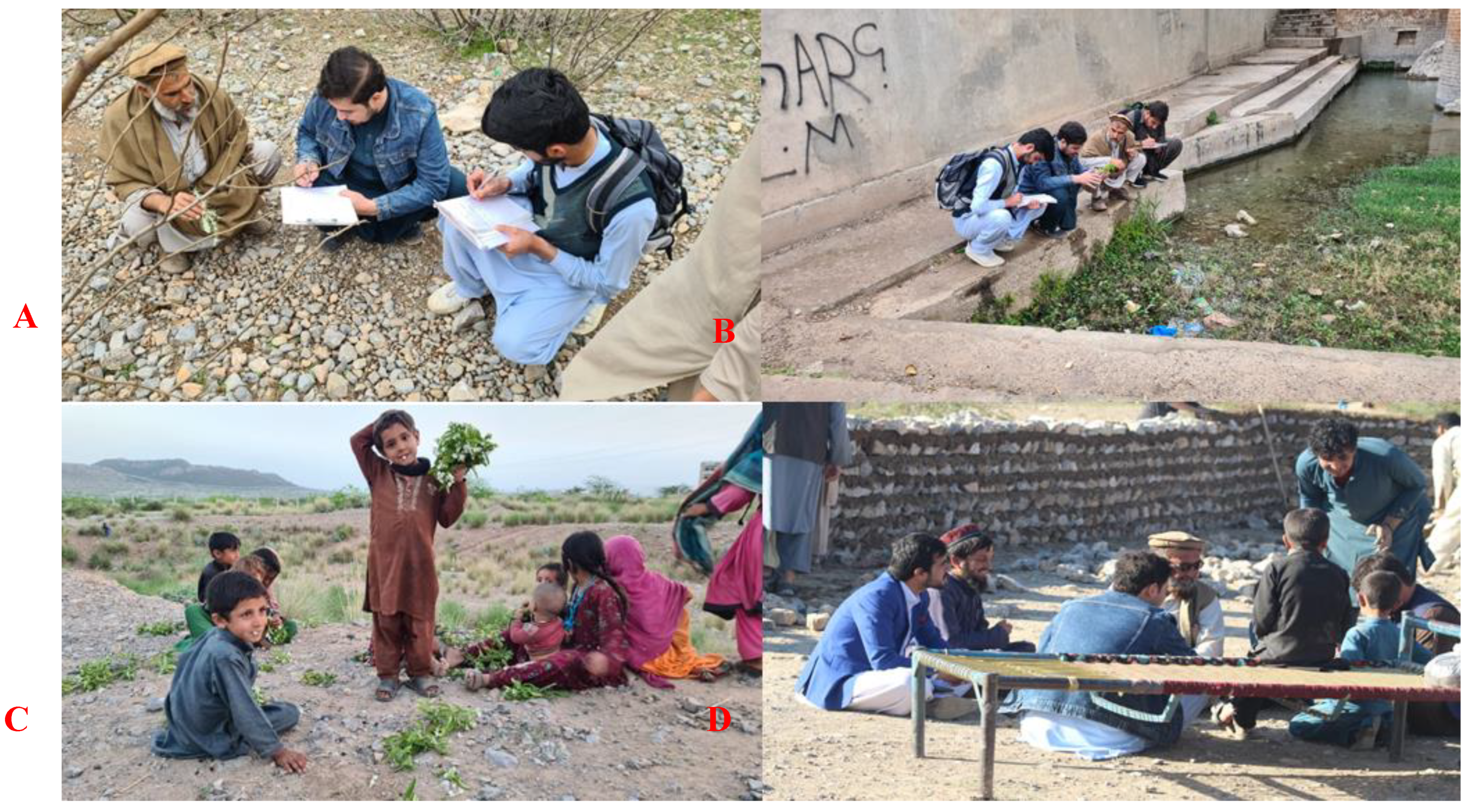 Plants 12 00574 g001 Plants 12 00574 g001