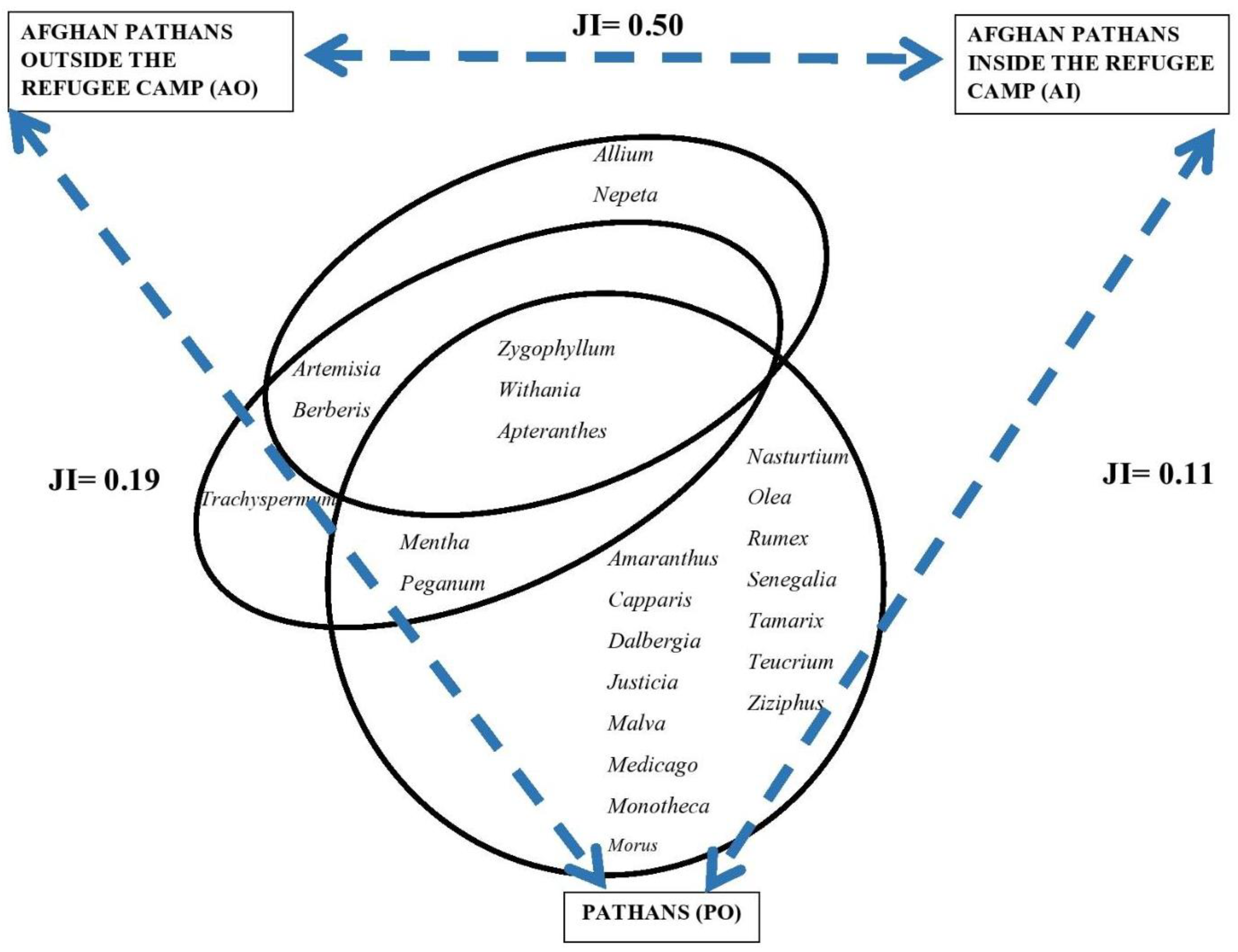 Plants 12 00574 g003 Plants 12 00574 g003