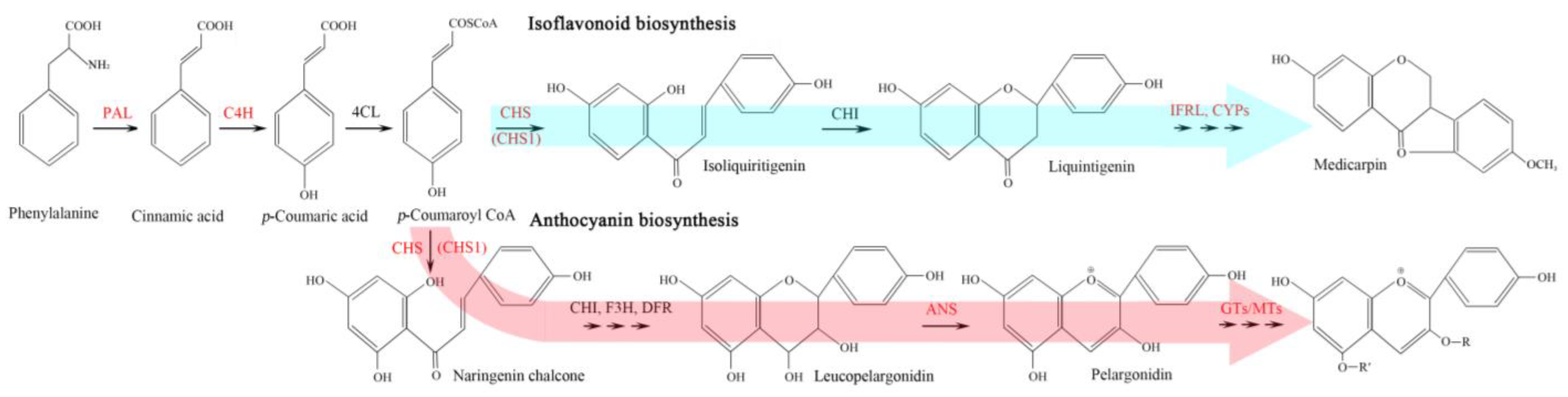 Plants 12 00575 g005