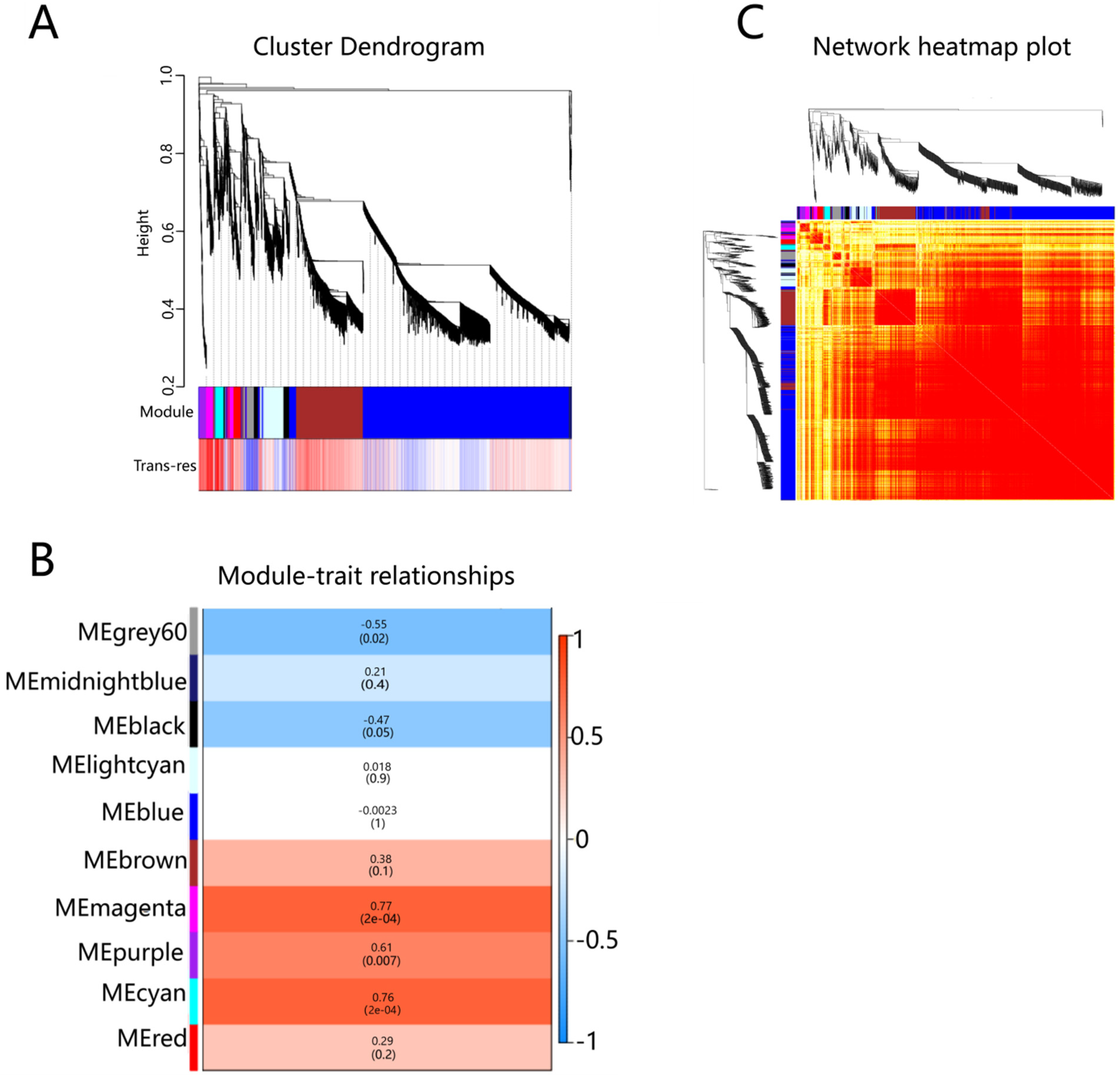 Plants 12 00578 g002