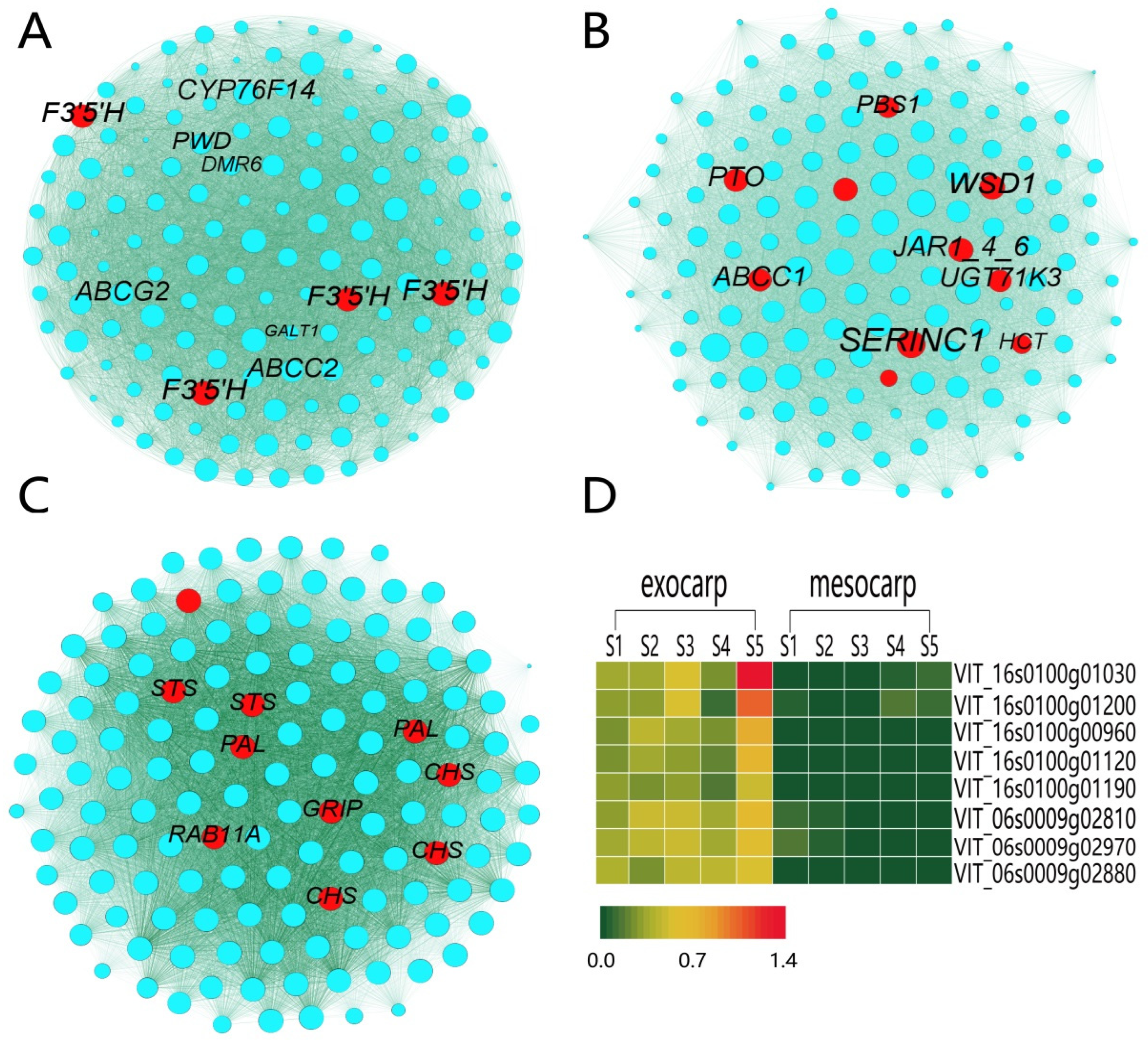 Plants 12 00578 g004