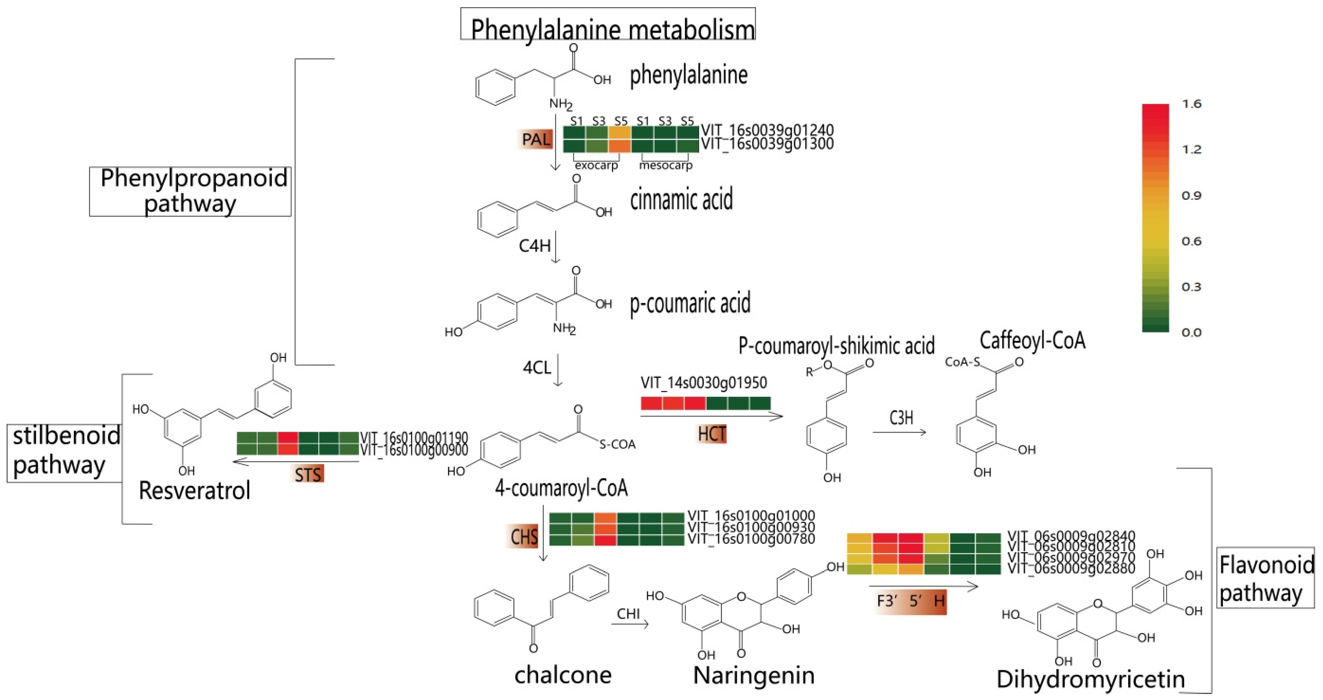 Plants 12 00578 g005