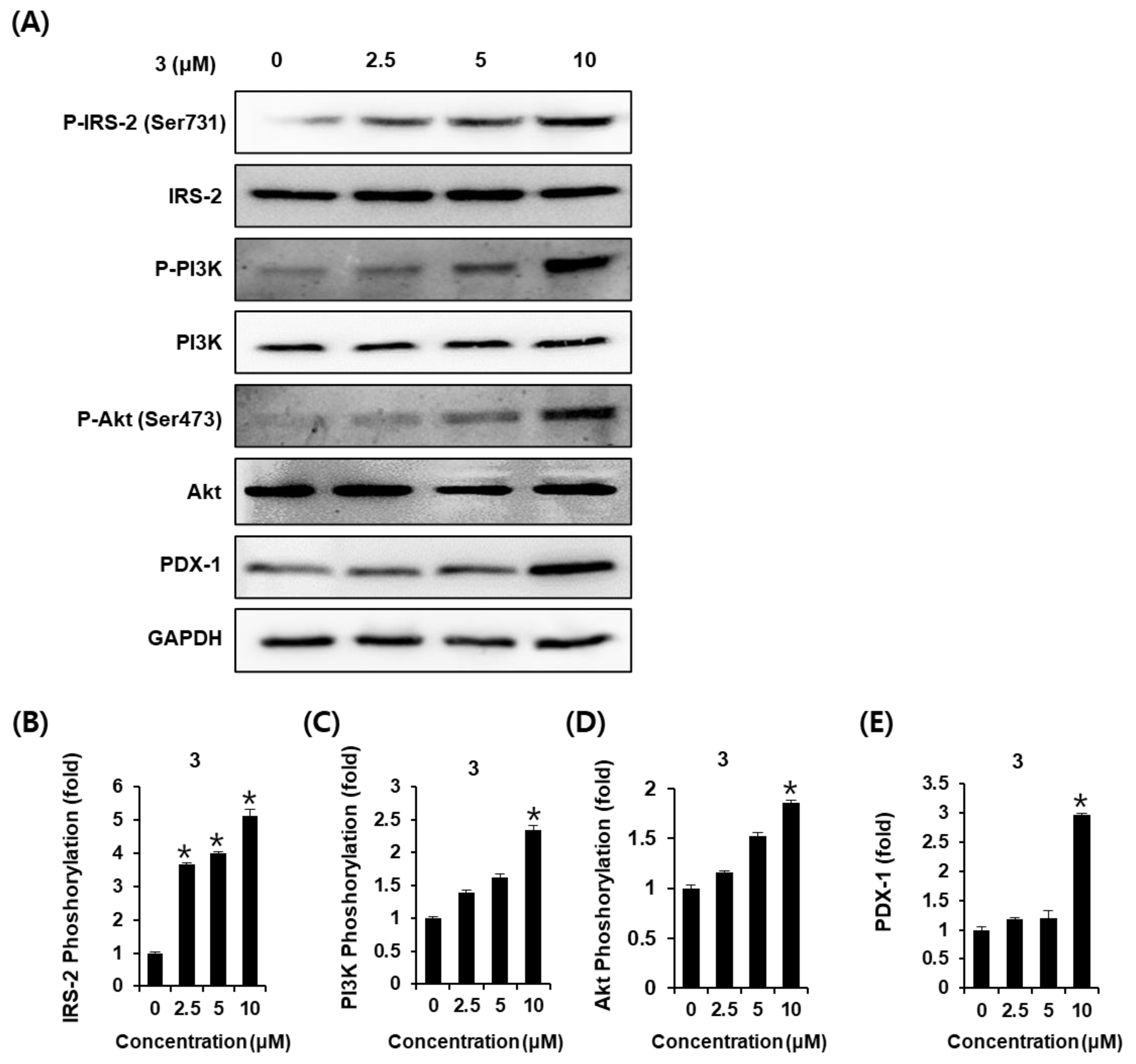 Plants 12 00579 g004