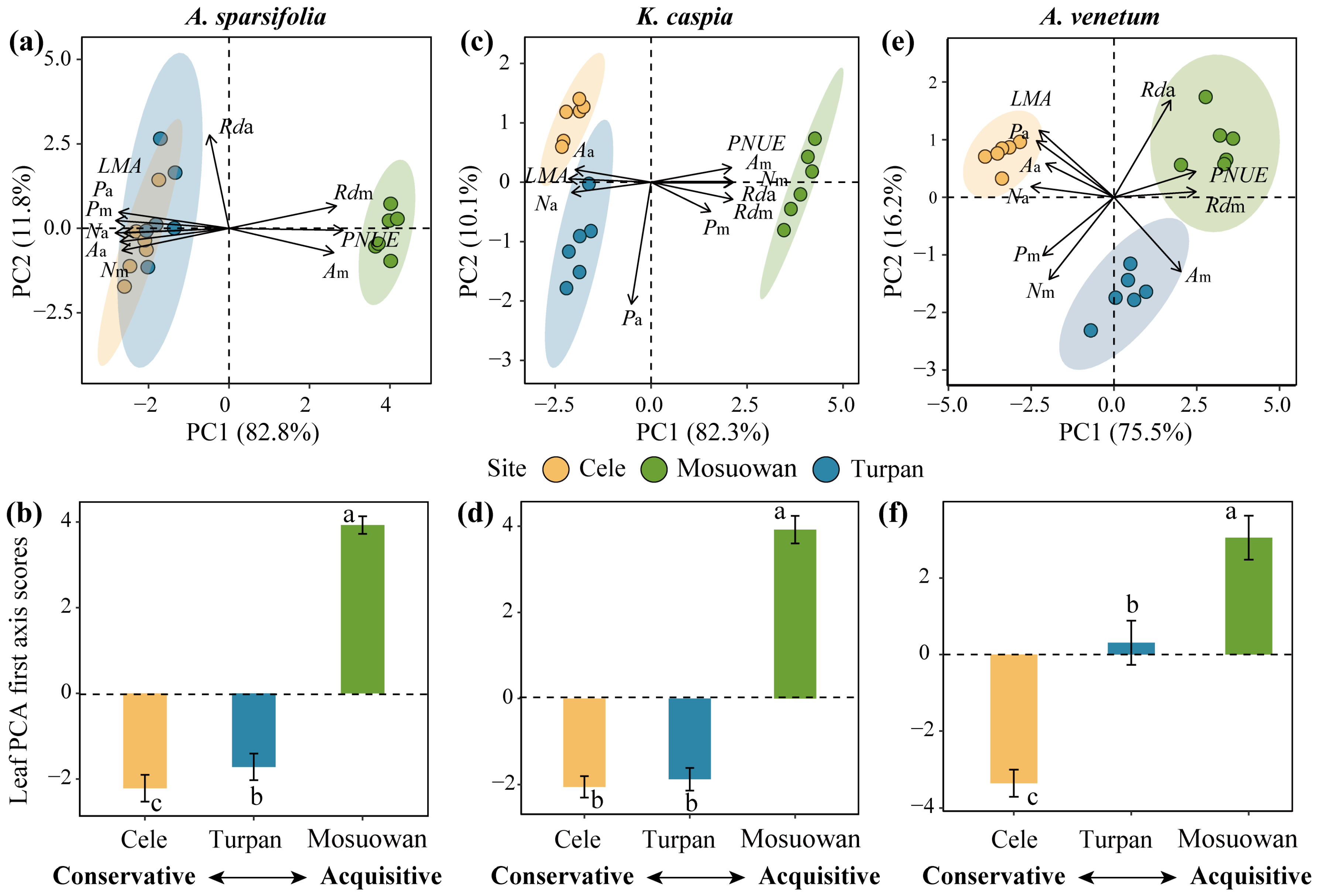 Plants 12 00581 g002 Plants 12 00581 g002