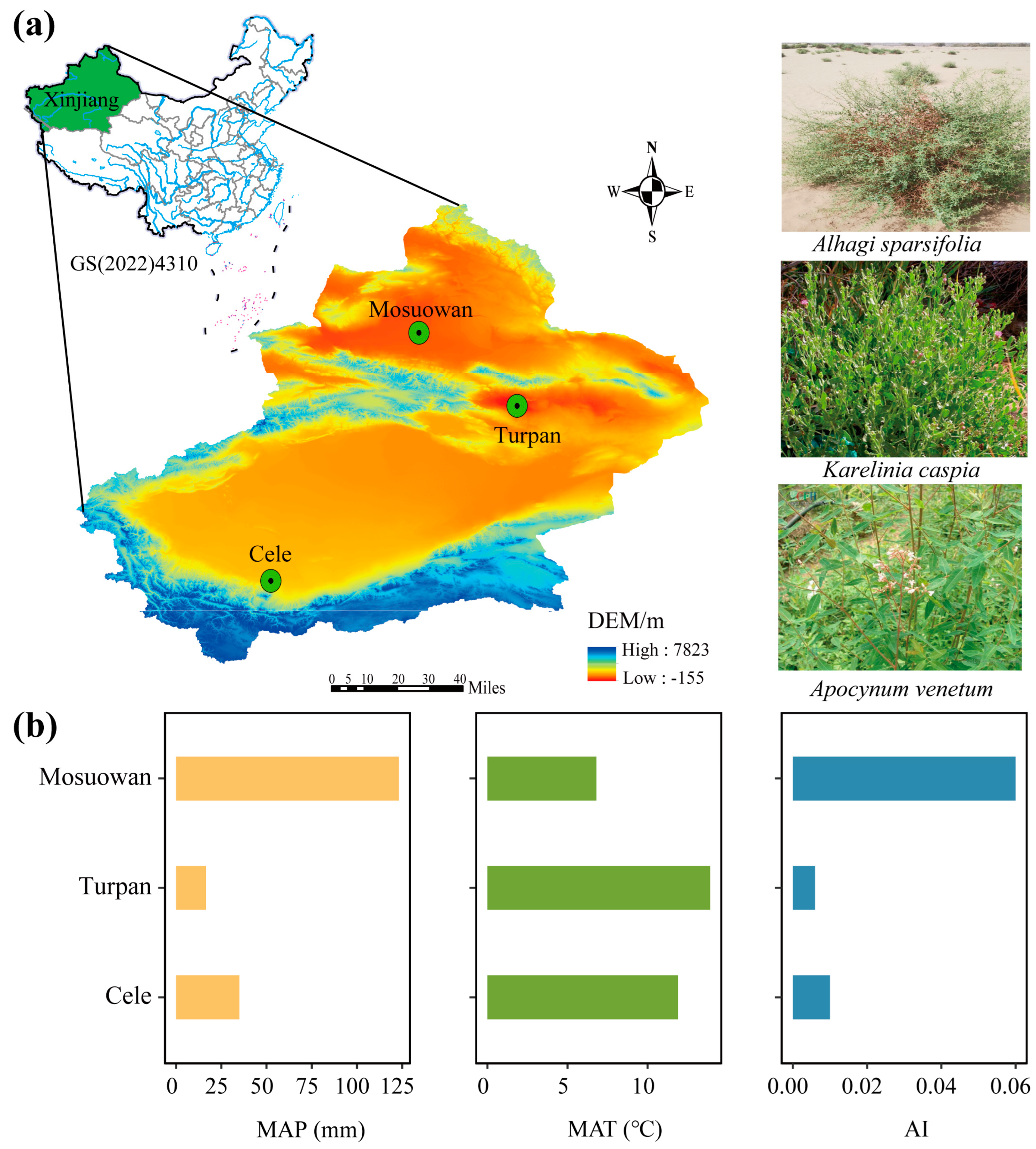 Plants 12 00581 g006 Plants 12 00581 g006
