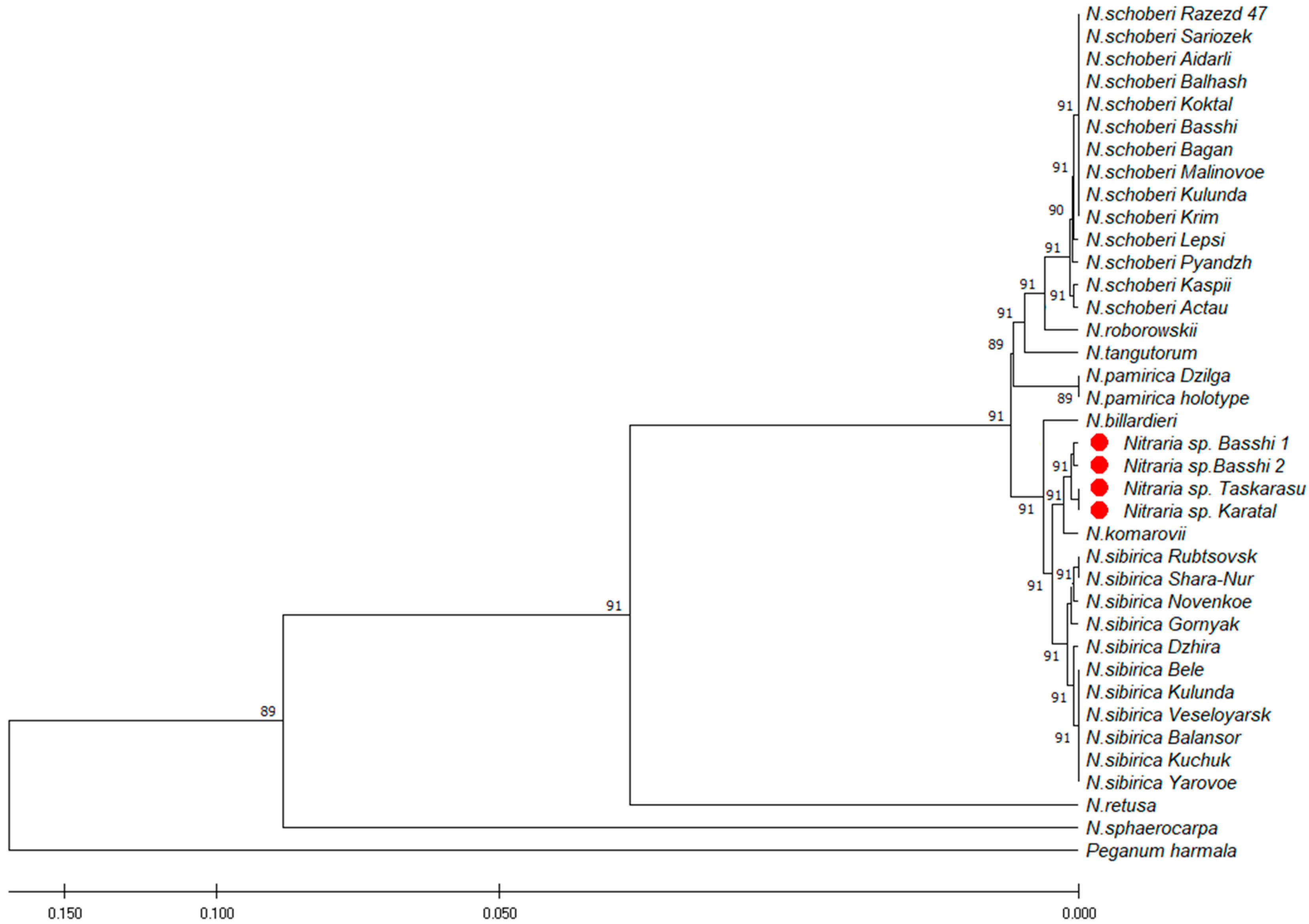 Plants 12 00593 g003