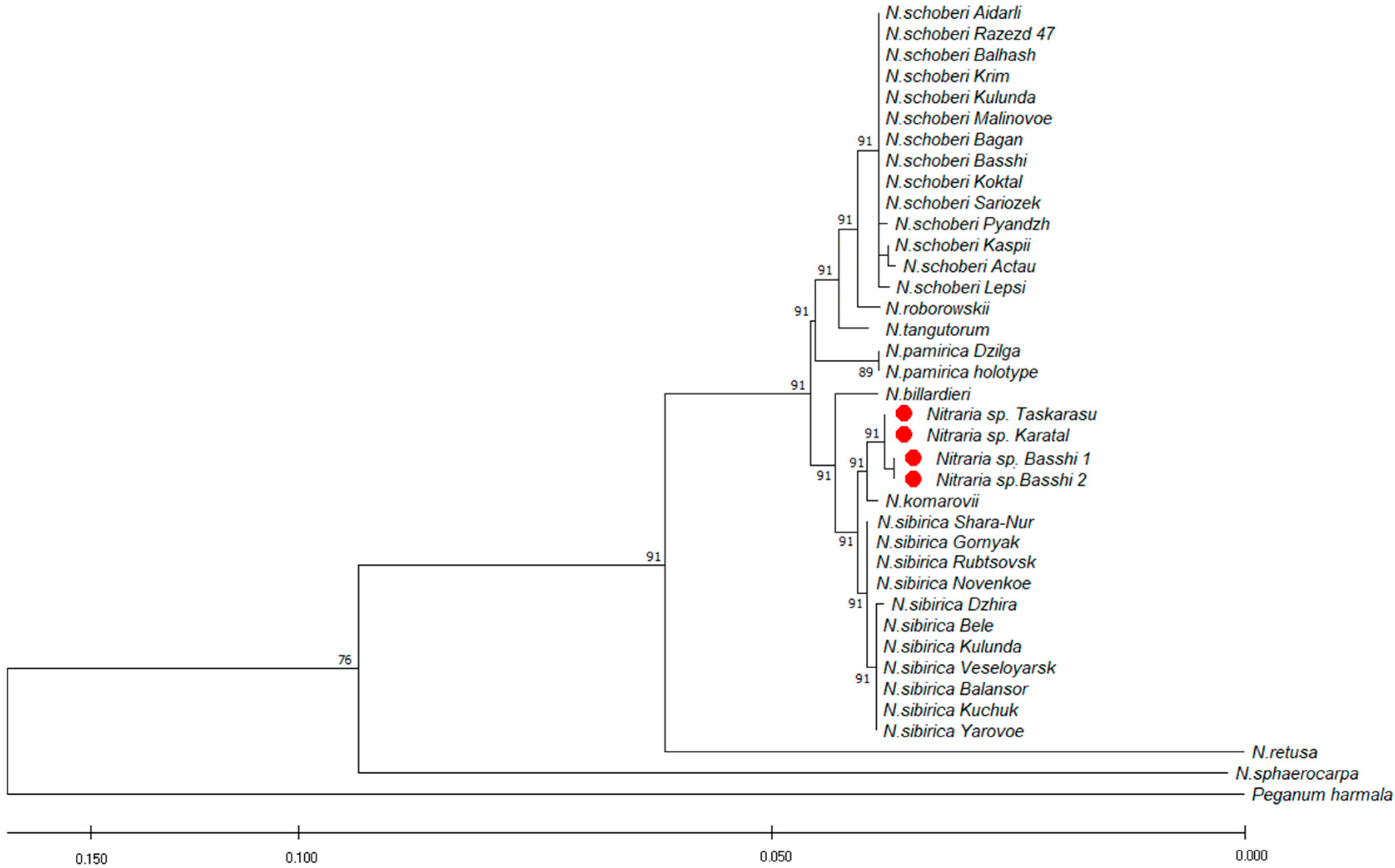 Plants 12 00593 g004