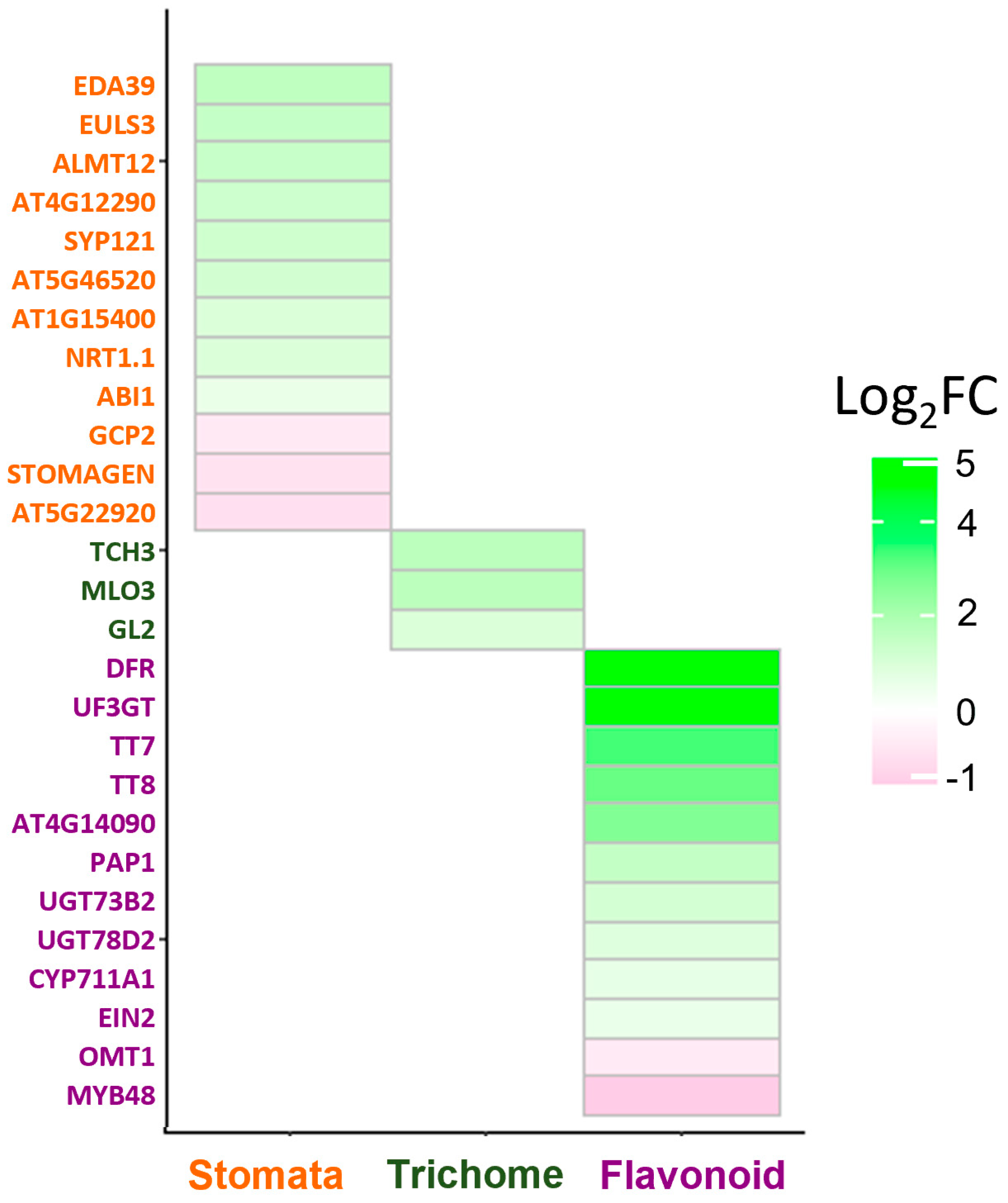 Plants 12 00596 g002