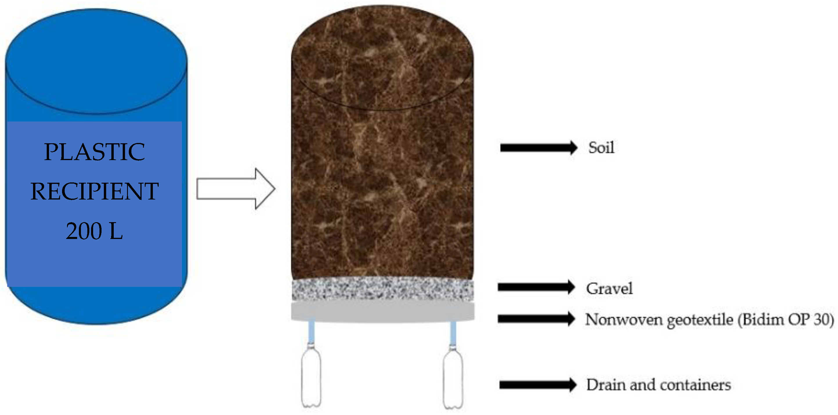 Plants 12 00599 g006